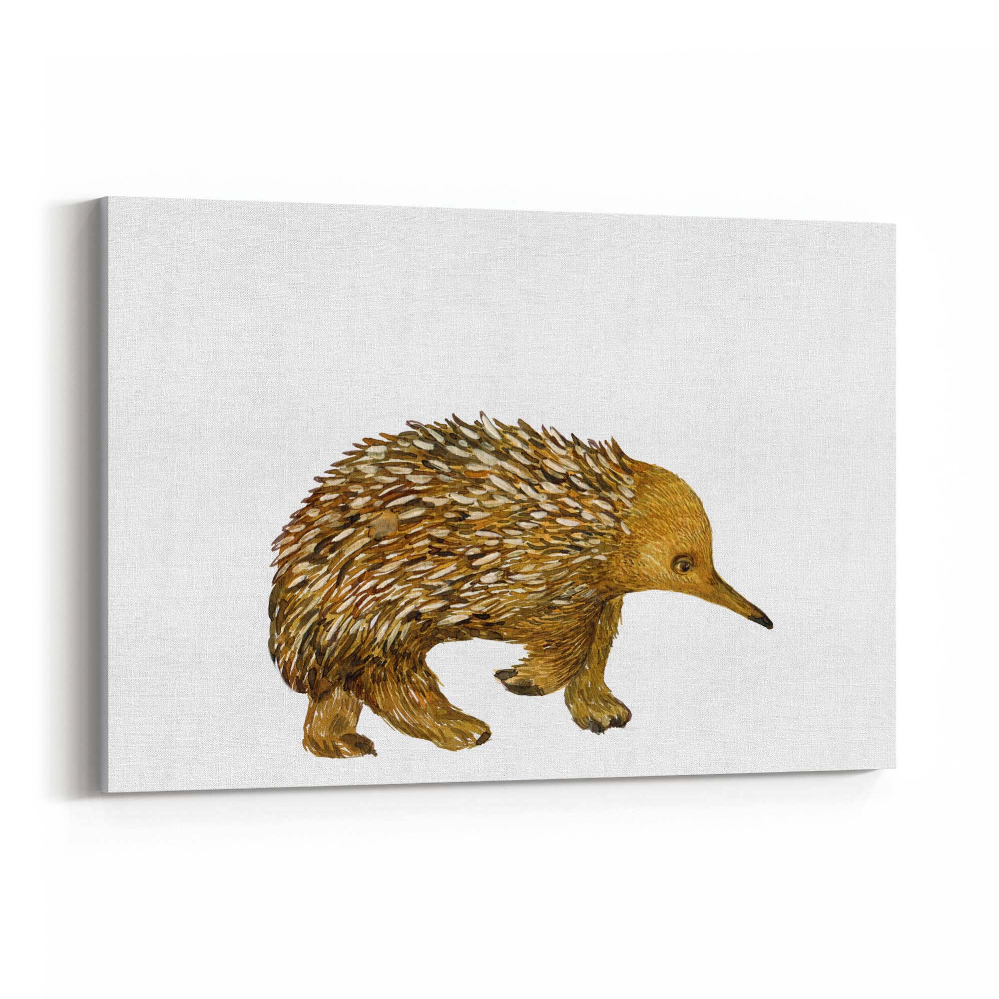 Australian Echidna Painting Animal Nursery Wall Art - The Affordable Art Company