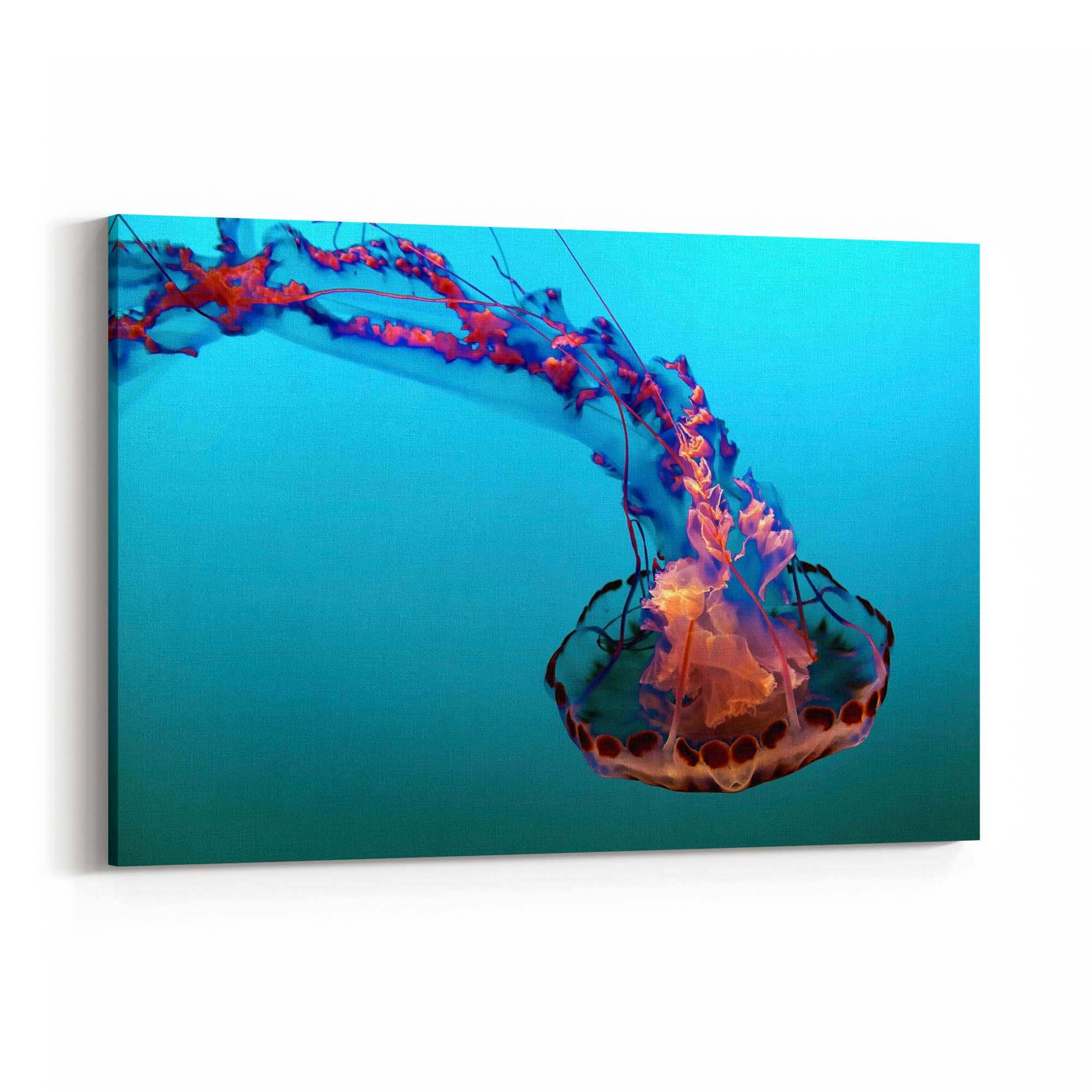 Electric Jellyfish Blue Photograph Neon Wall Art - The Affordable Art Company