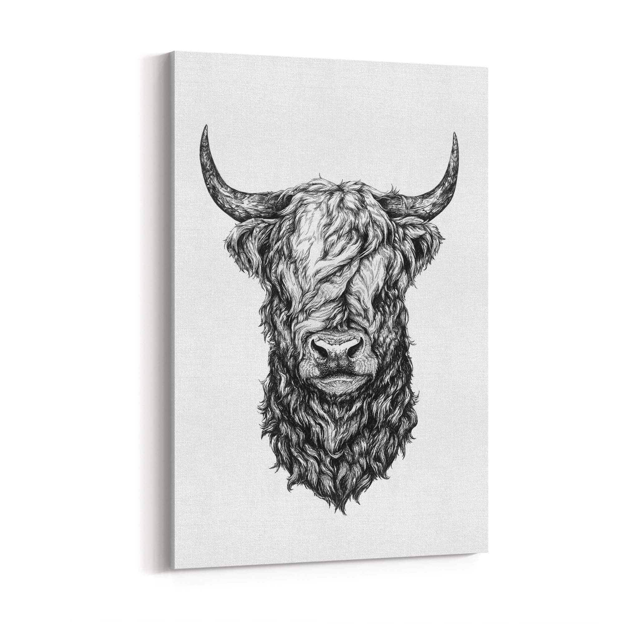 Highland Cow Detailed Head Drawing Wall Art - The Affordable Art Company