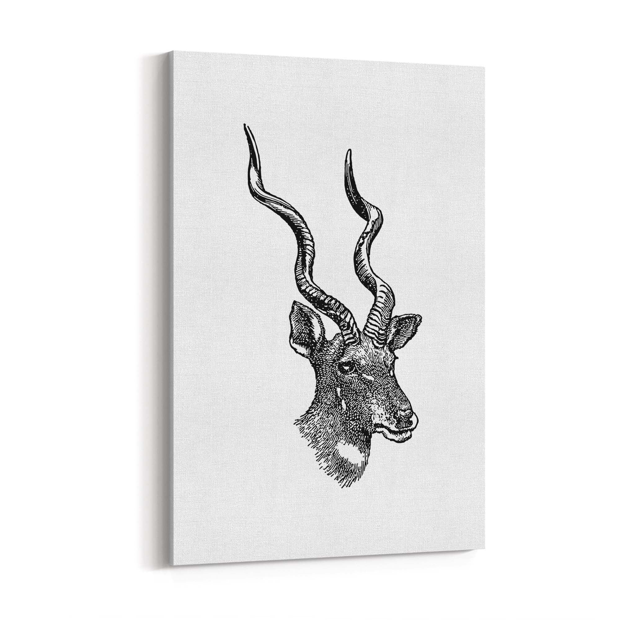 Kudu Detailed Drawing African Safari Wall Art - The Affordable Art Company
