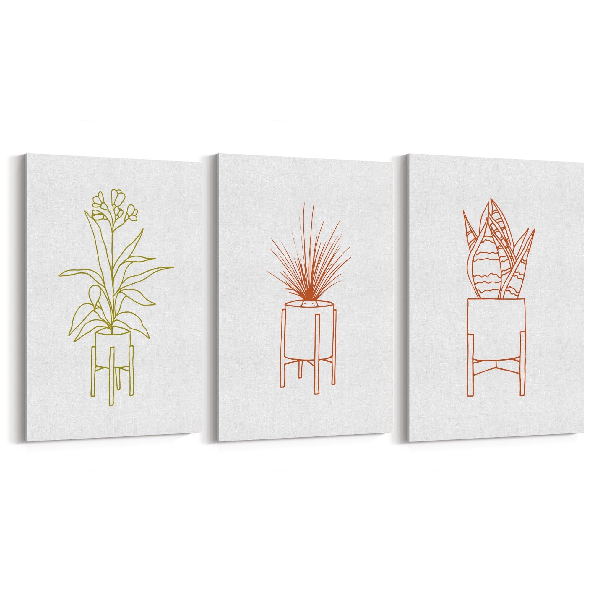 Set of Minimal House Plant Drawing Wall Art #1 - The Affordable Art Company