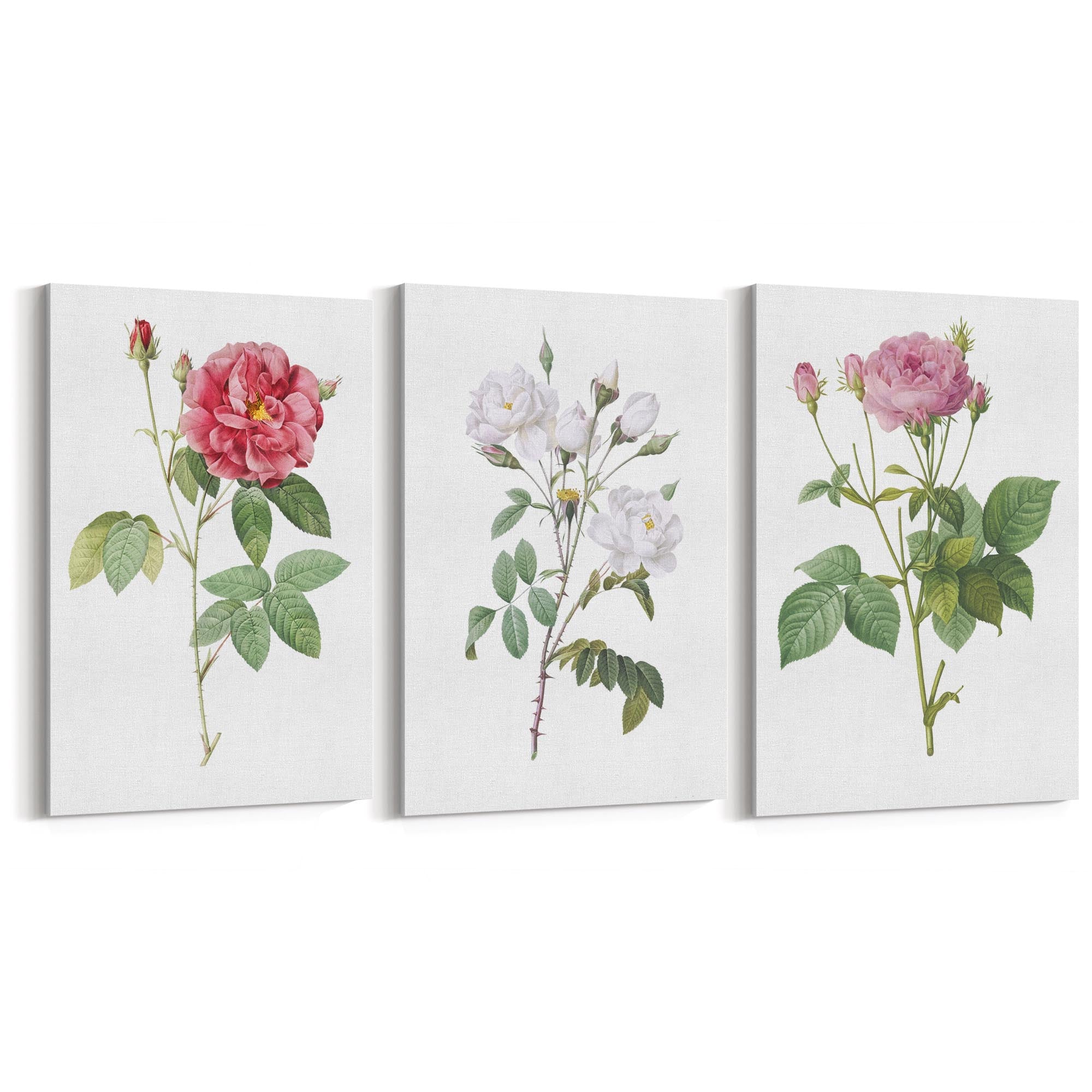Set of Pink Floral Vintage Botanical Wall Art #4 - The Affordable Art Company