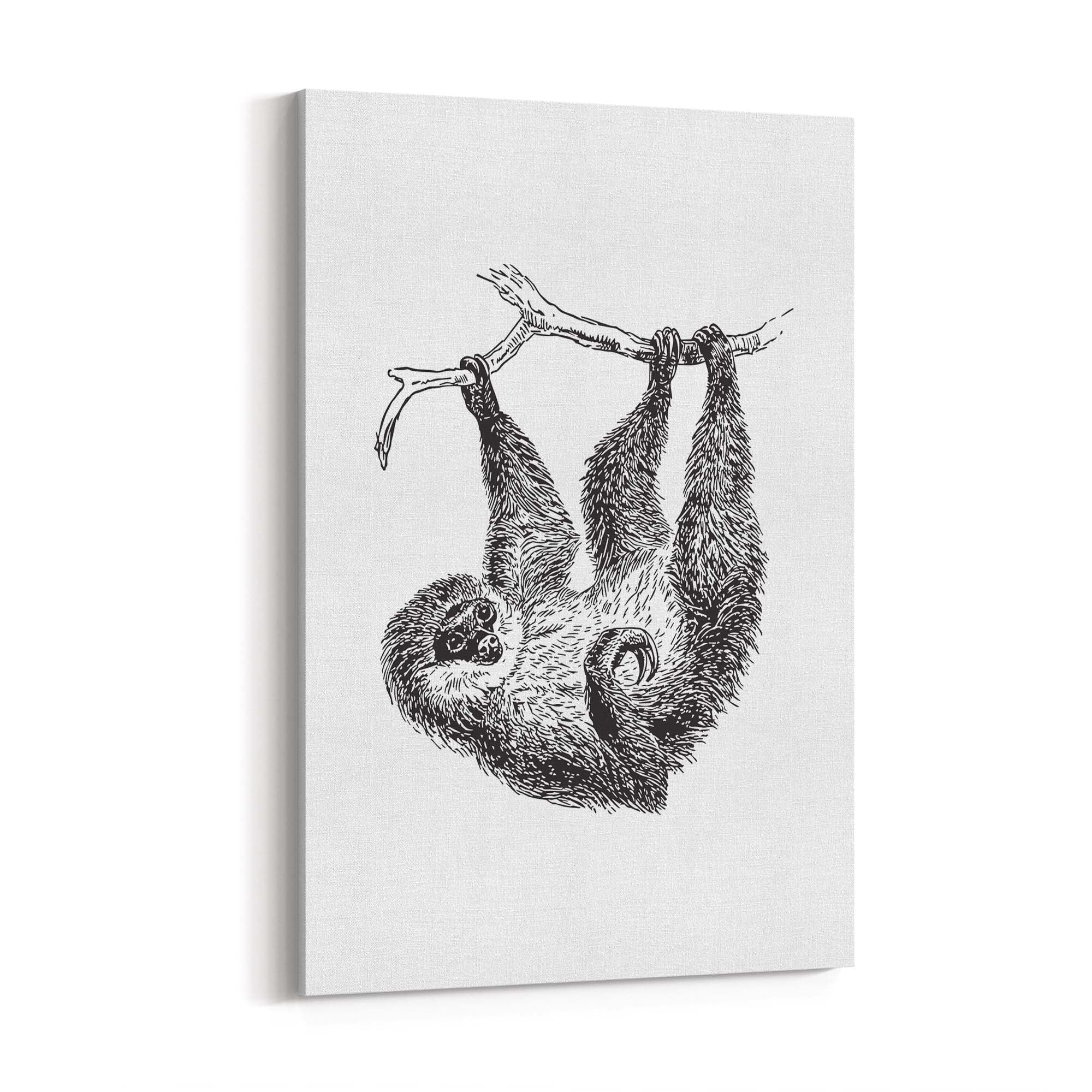 Sloth Drawing Animal Minimal Wall Art - The Affordable Art Company