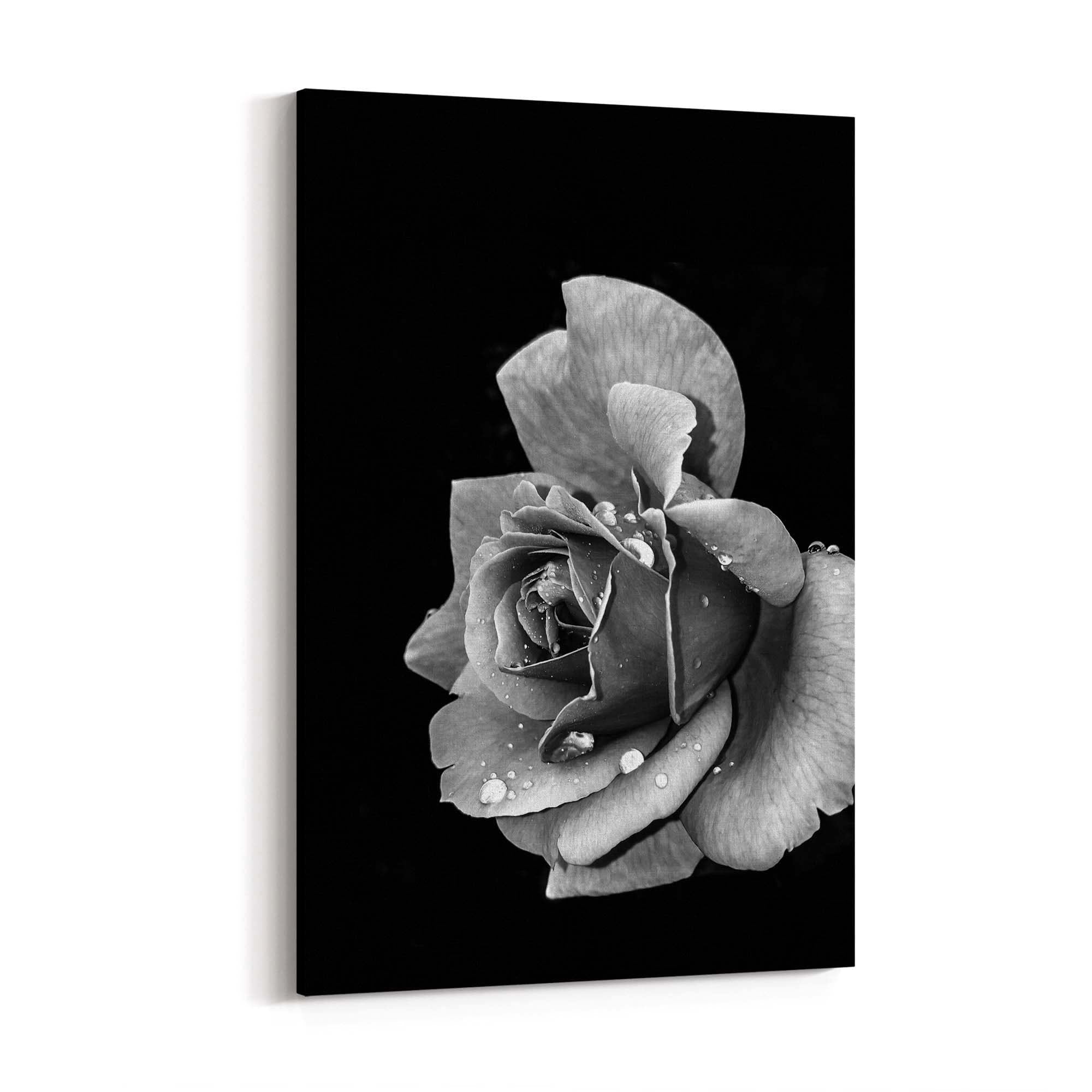 Black and White Rose Flower Photograph Wall Art - The Affordable Art Company