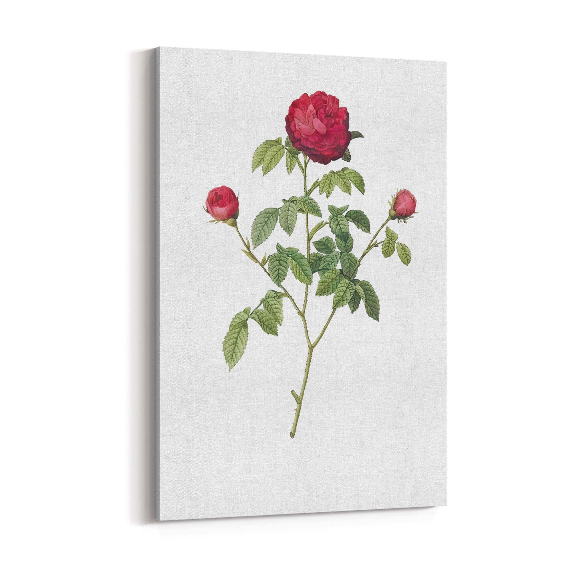Flower Botanical Painting Kitchen Hallway Wall Art #3 - The Affordable Art Company