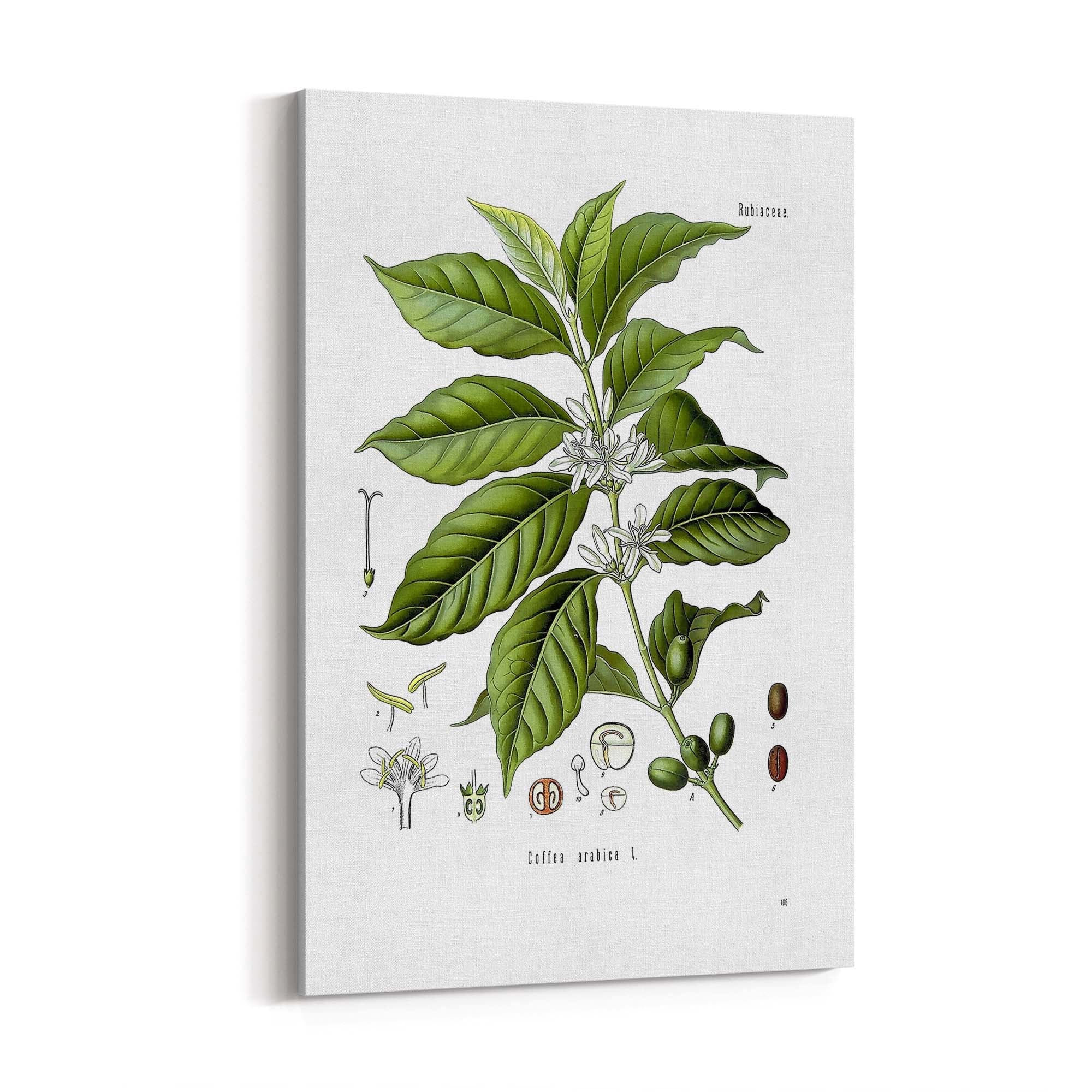 Coffee Branch Botanical Kitchen Cafe Wall Art #1 - The Affordable Art Company
