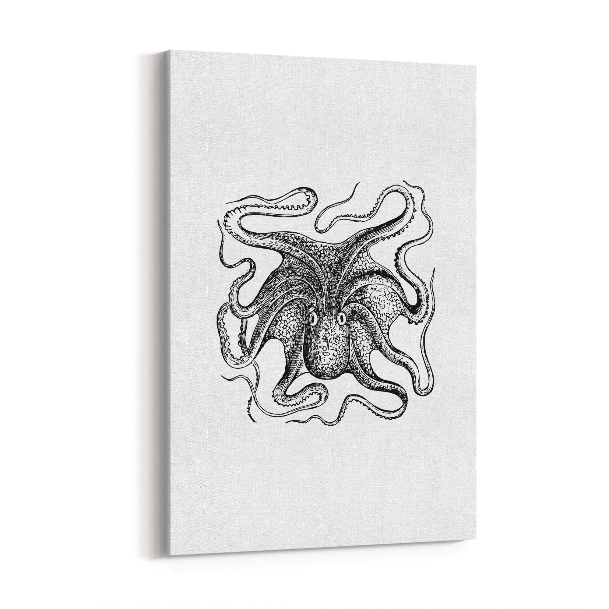 Octopus Drawing Minimal Sealife Wall Art #1 - The Affordable Art Company