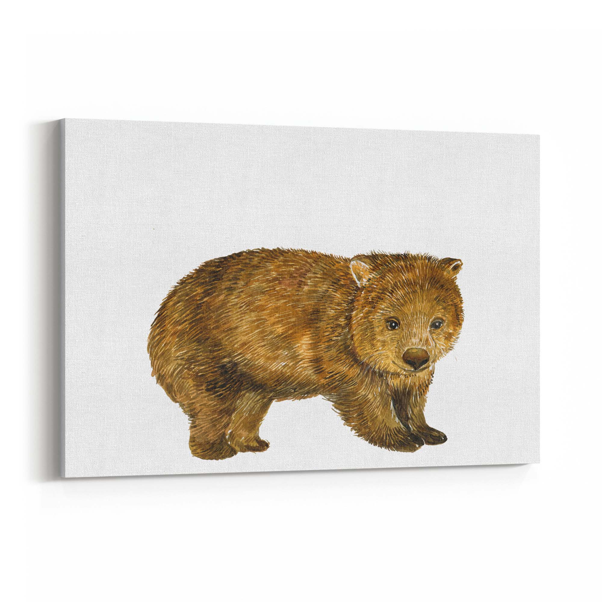 Australian Wombat Painting Animal Wall Art - The Affordable Art Company