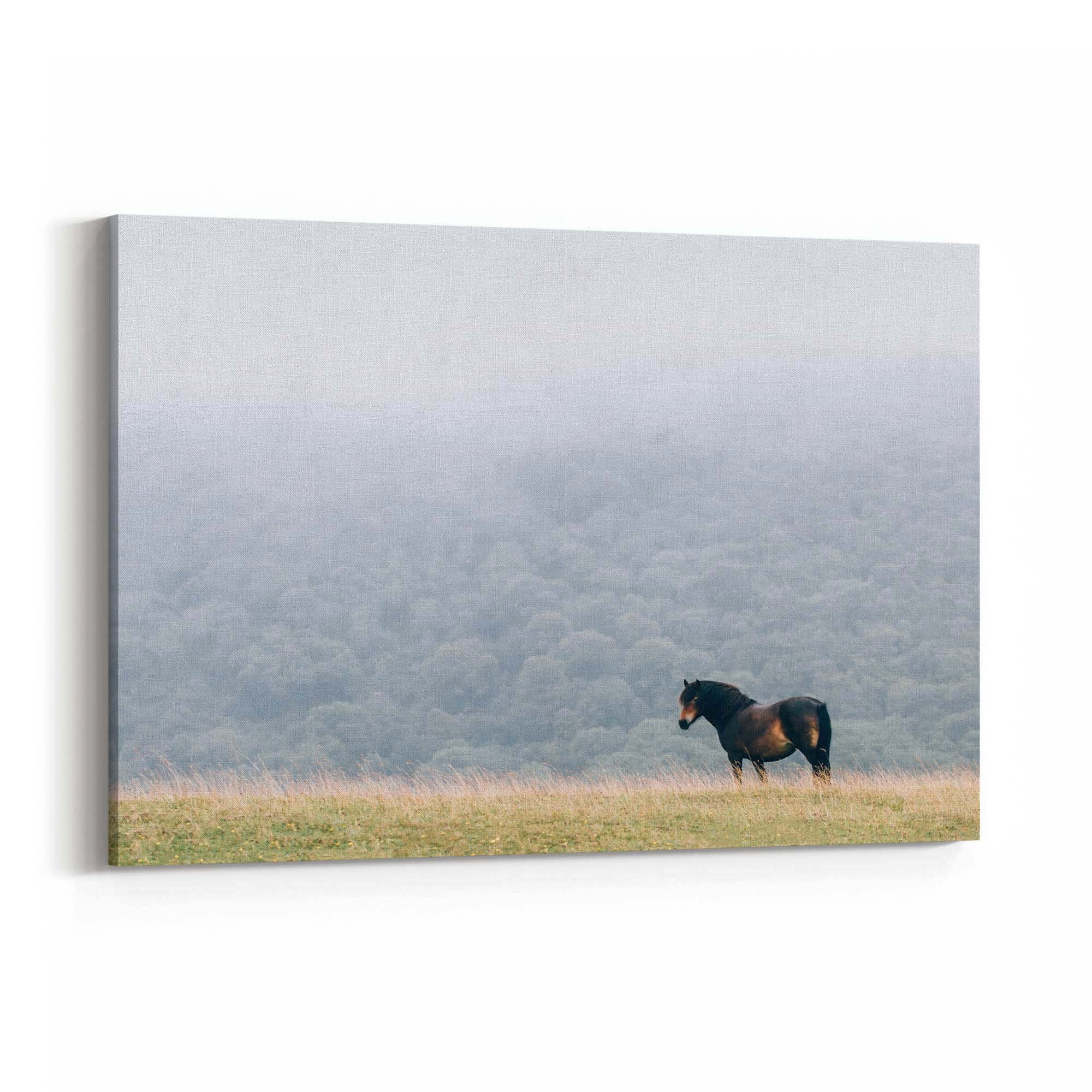 Lone Horse Landscape Photograph Nature Wall Art - The Affordable Art Company