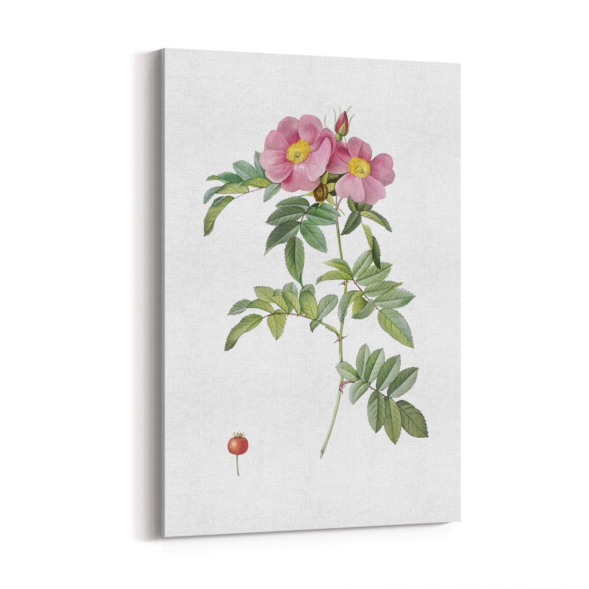 Flower Botanical Painting Kitchen Hallway Wall Art #32 - The Affordable Art Company