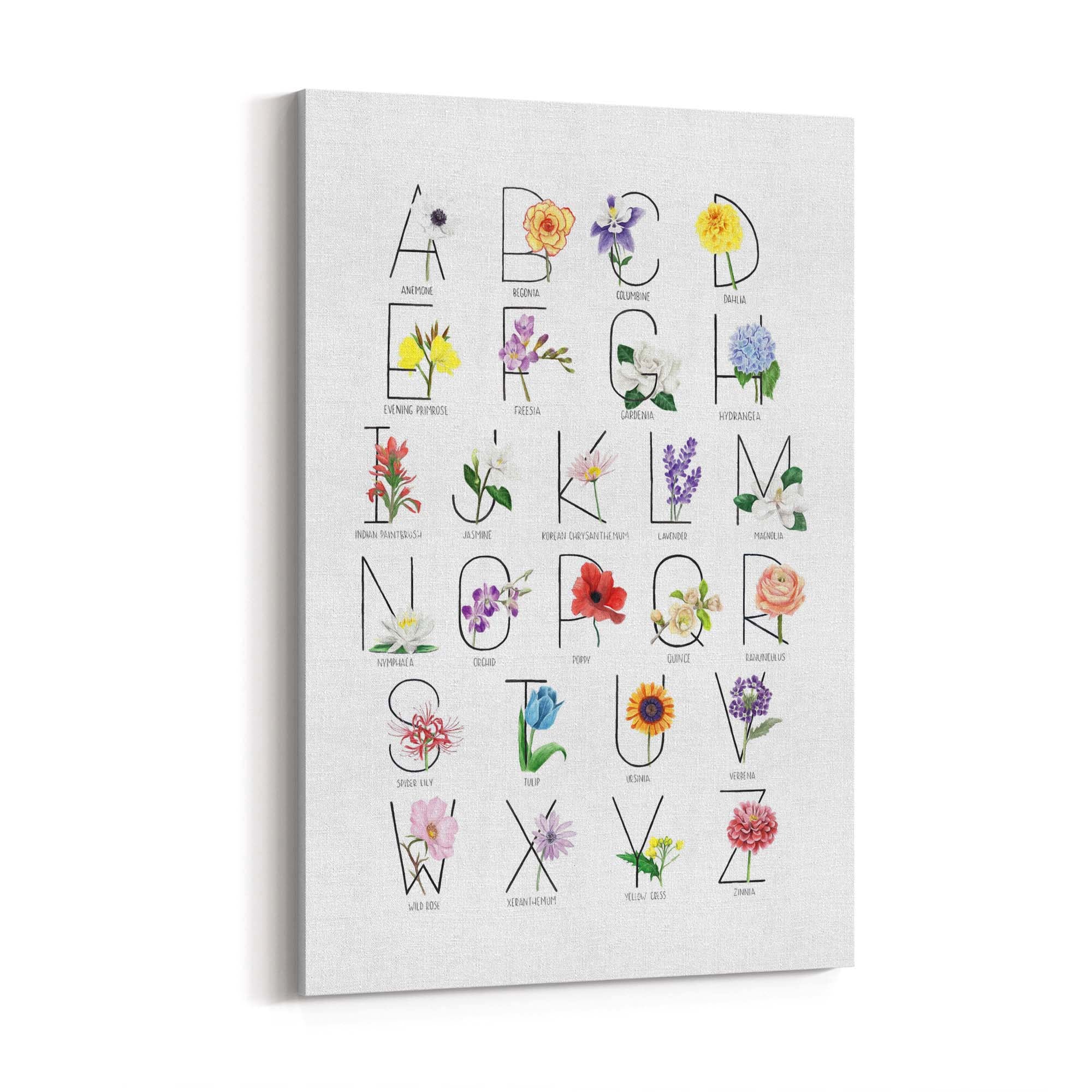 Flower Alphabet Kitchen Drawing Wall Art - The Affordable Art Company