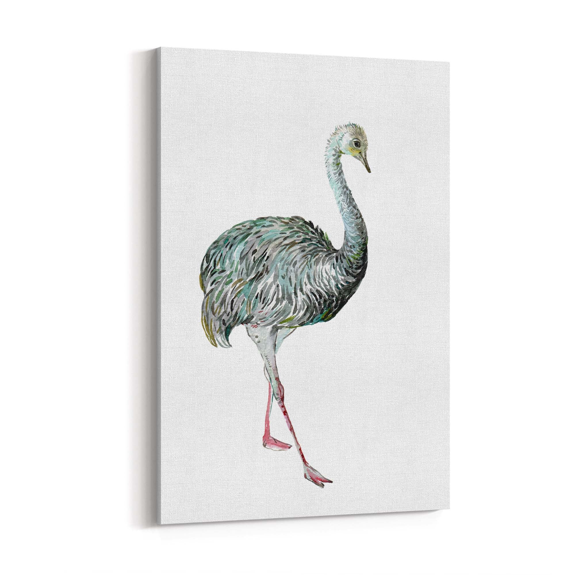 Australian Emu Painting Animal Nursery Wall Art #2 - The Affordable Art Company