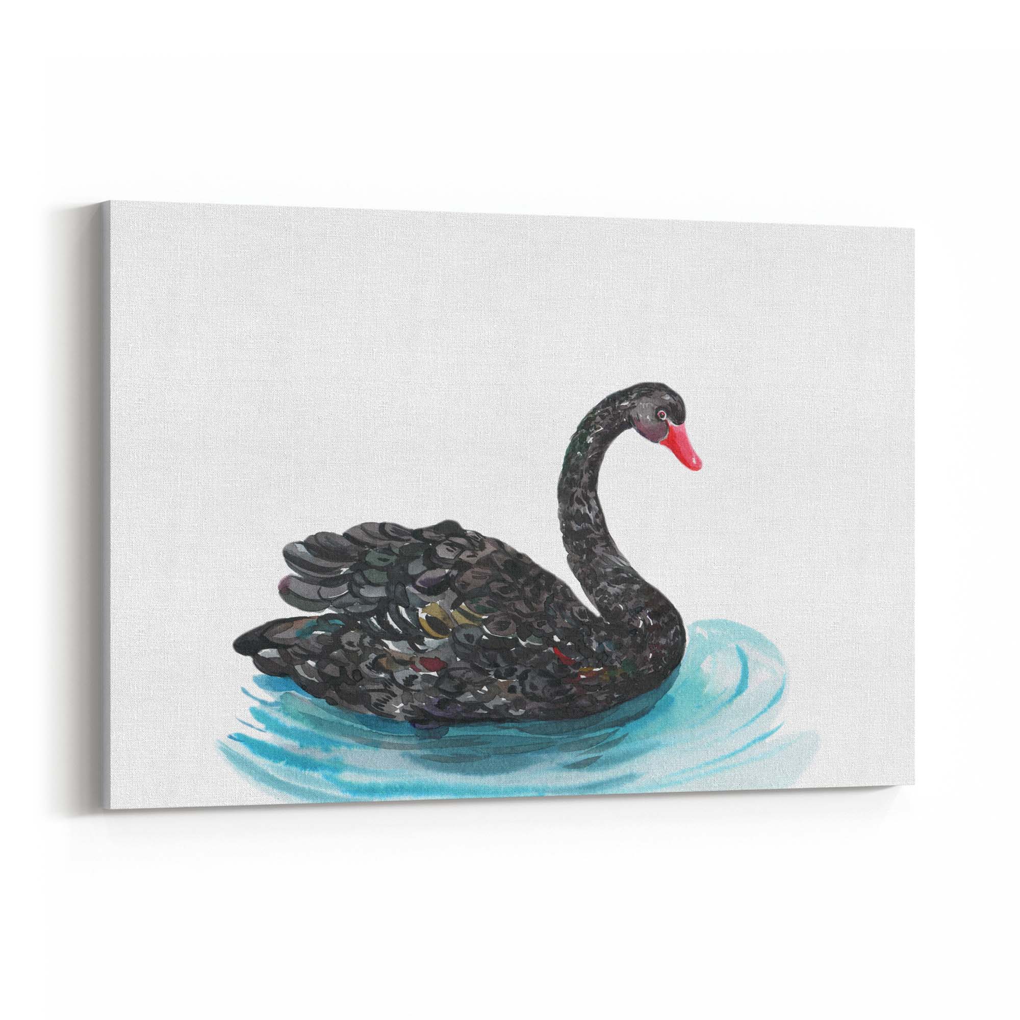 Black Swan Australian Animal Nursery Wall Art - The Affordable Art Company