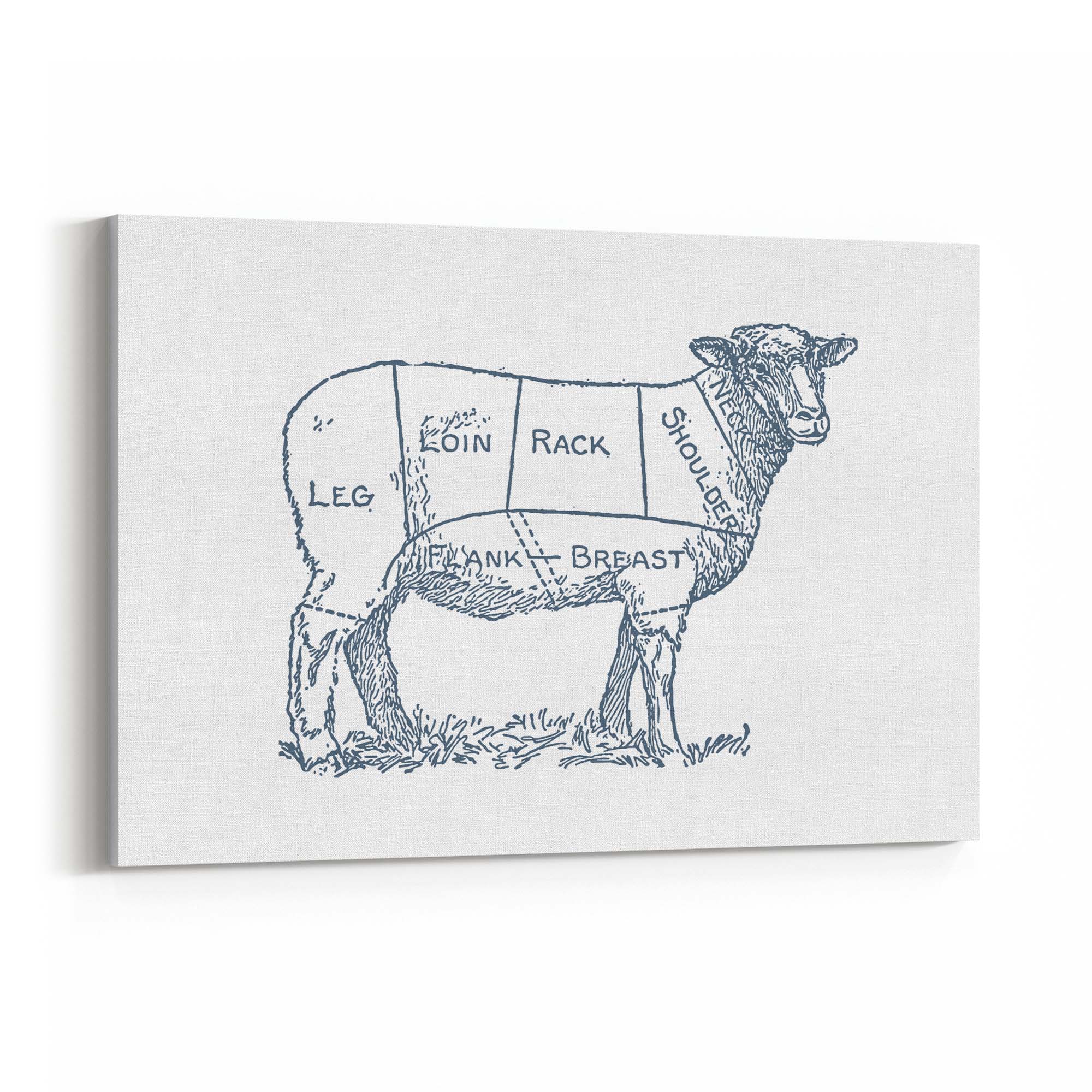 Butcher Shop Lamb Drawing Meat Wall Art - The Affordable Art Company