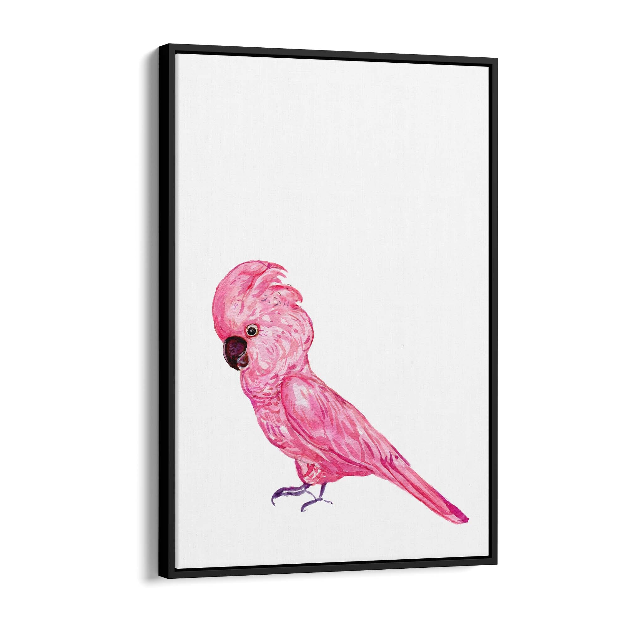 Pink Galah Bird Painting Nursery Australian Wall Art - The Affordable Art Company