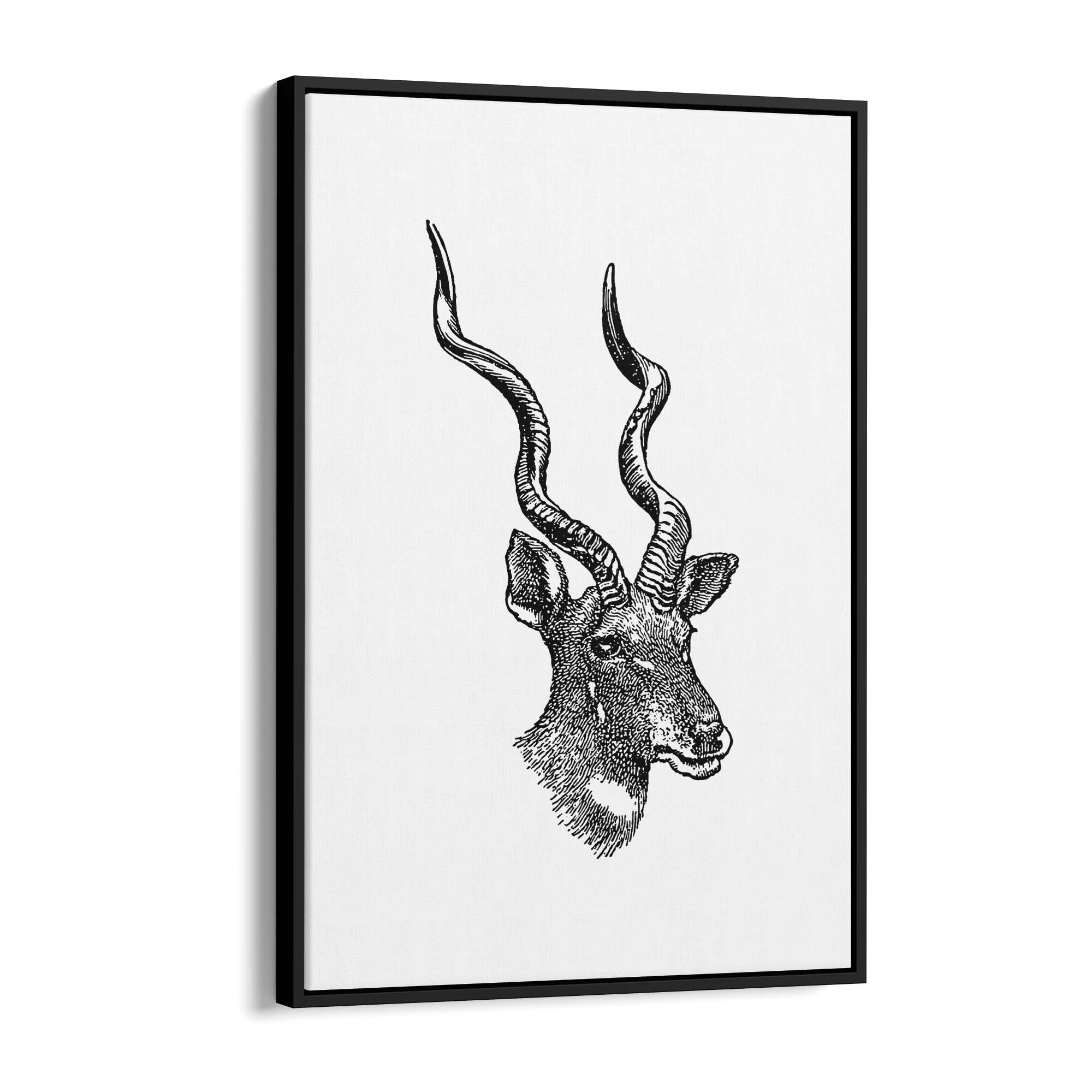 Kudu Detailed Drawing African Safari Wall Art - The Affordable Art Company