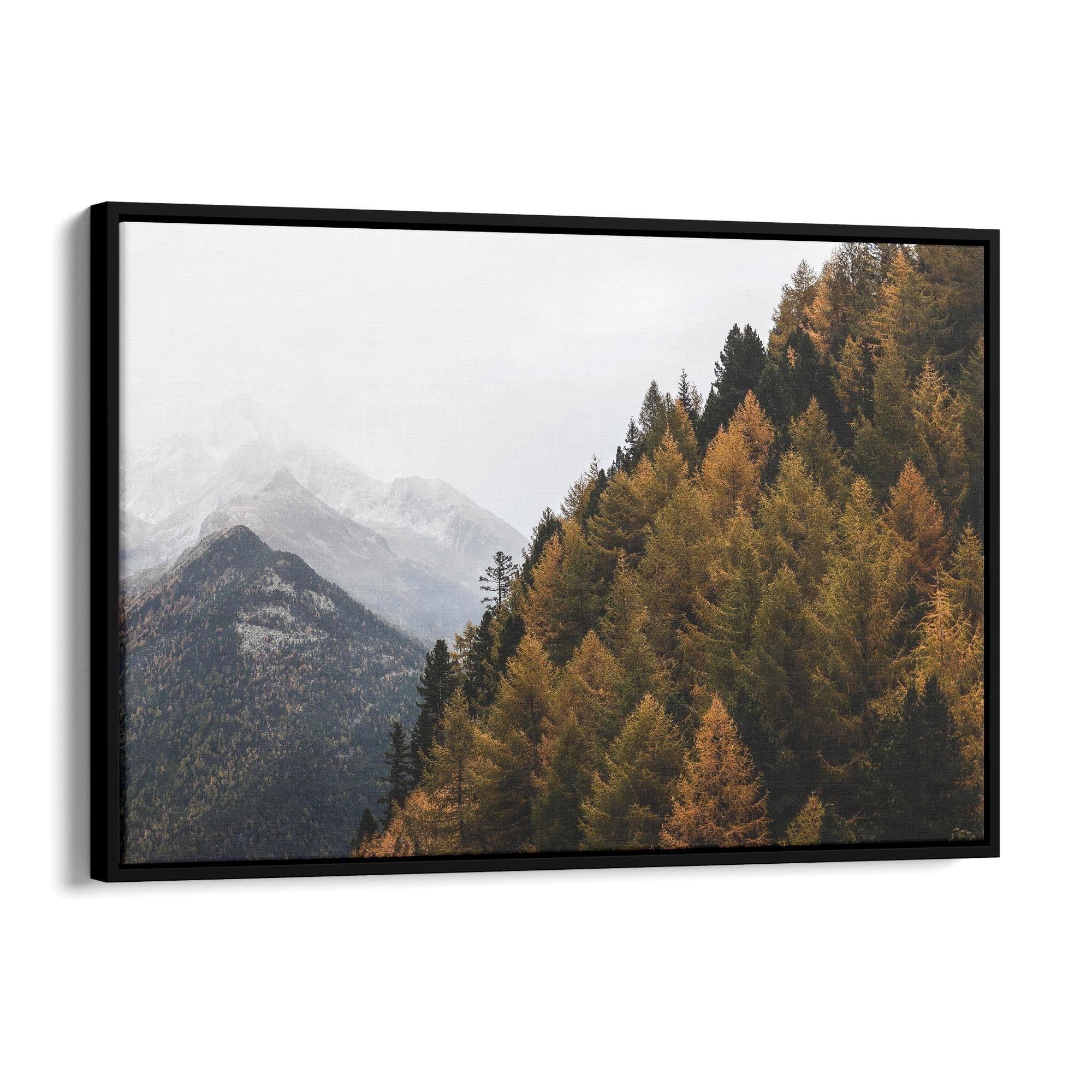 Autumn Forest Nature Photograph Green Wall Art #1 - The Affordable Art Company