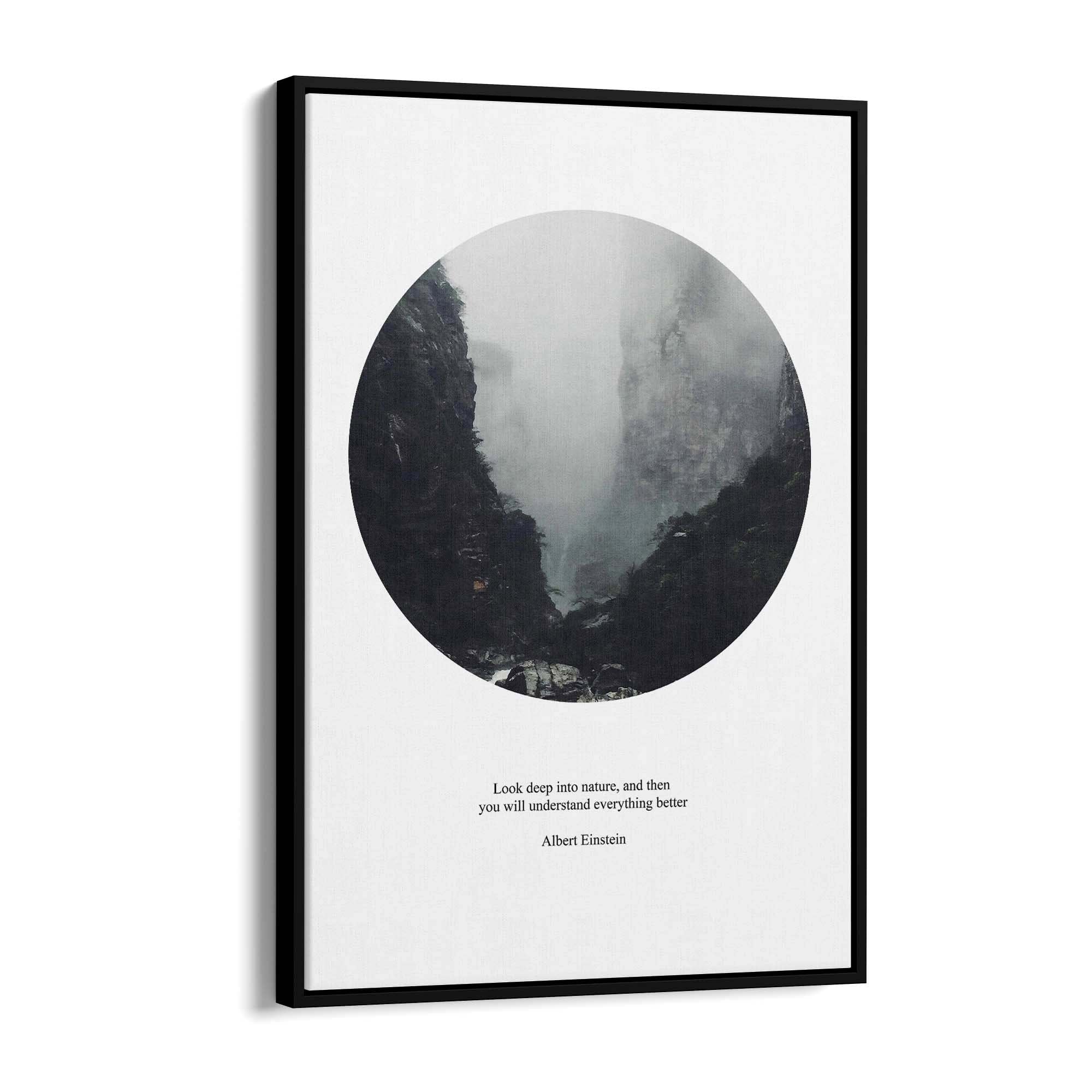"Look Deep Into Nature" Science Einstein Wall Art - The Affordable Art Company