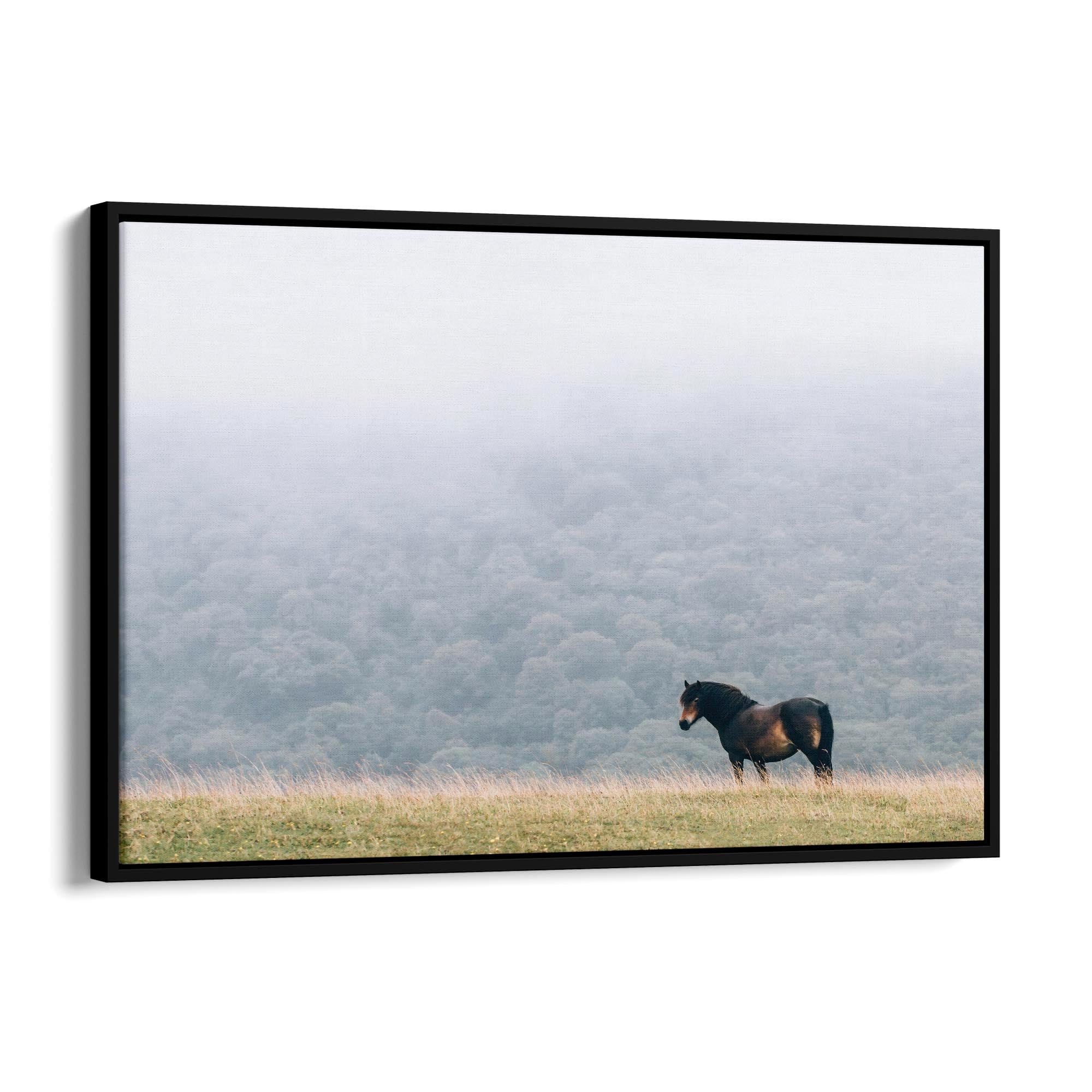 Lone Horse Landscape Photograph Nature Wall Art - The Affordable Art Company