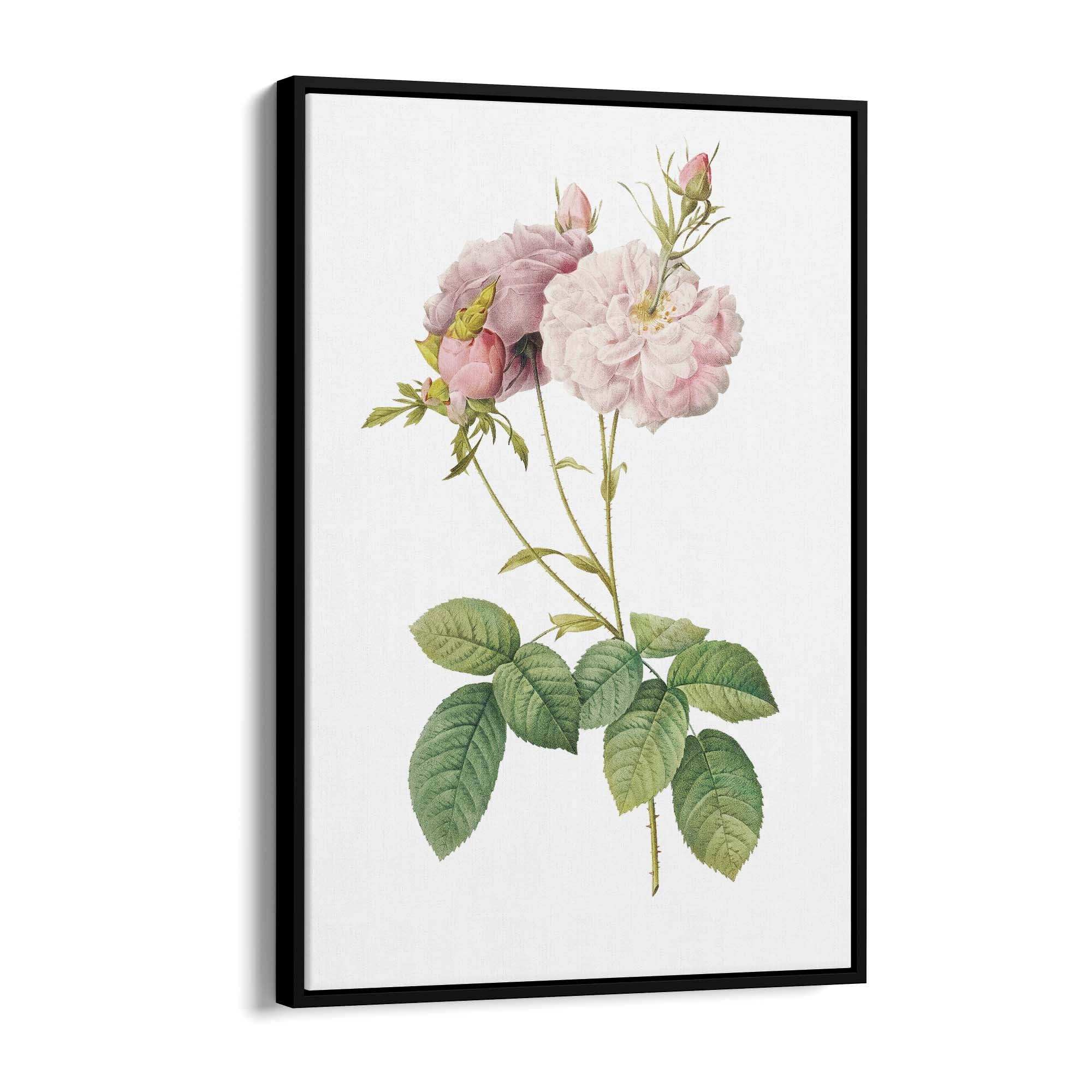 Flower Botanical Painting Kitchen Hallway Wall Art #42 - The Affordable Art Company