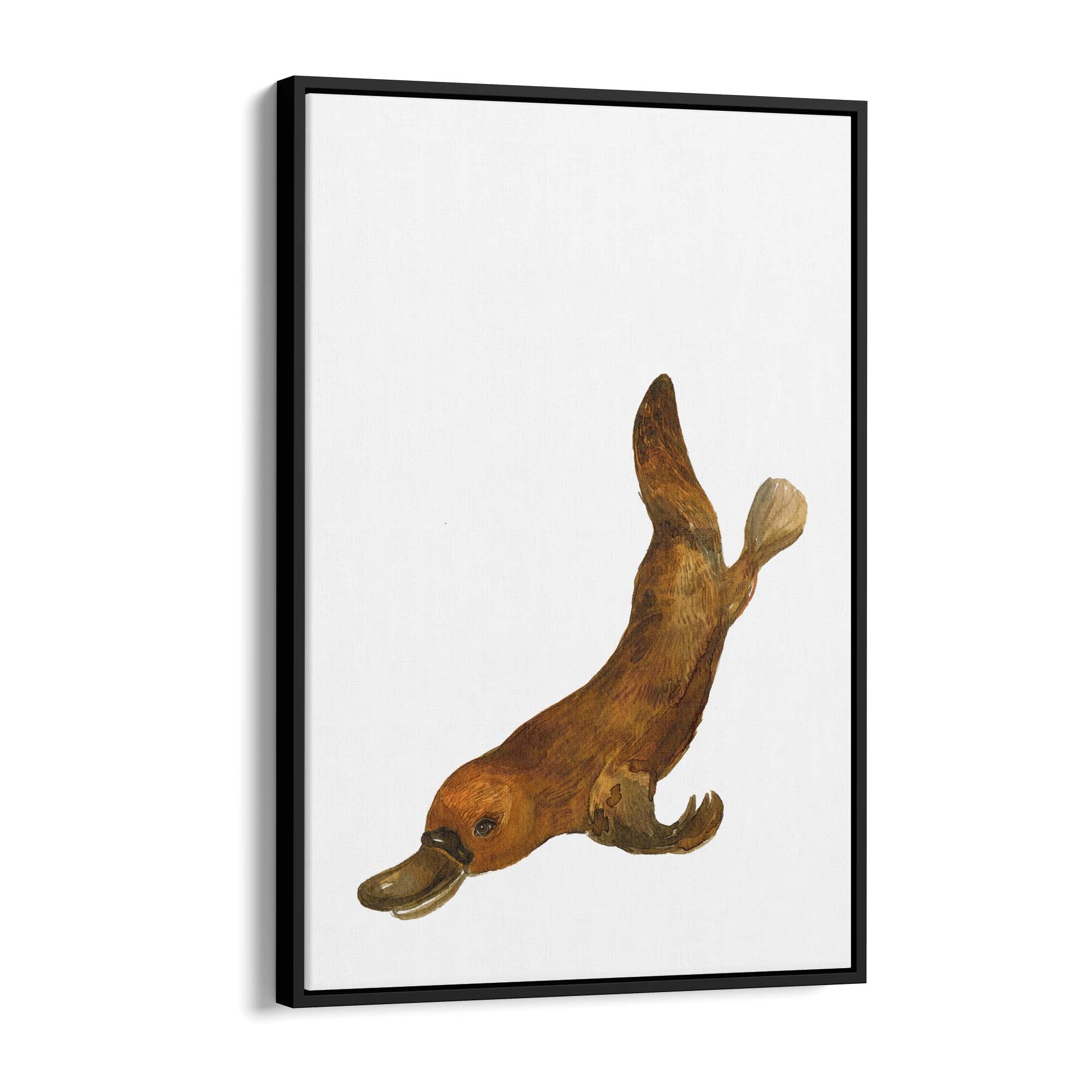 Australian Platypus Painting Animal Nursery Wall Art - The Affordable Art Company