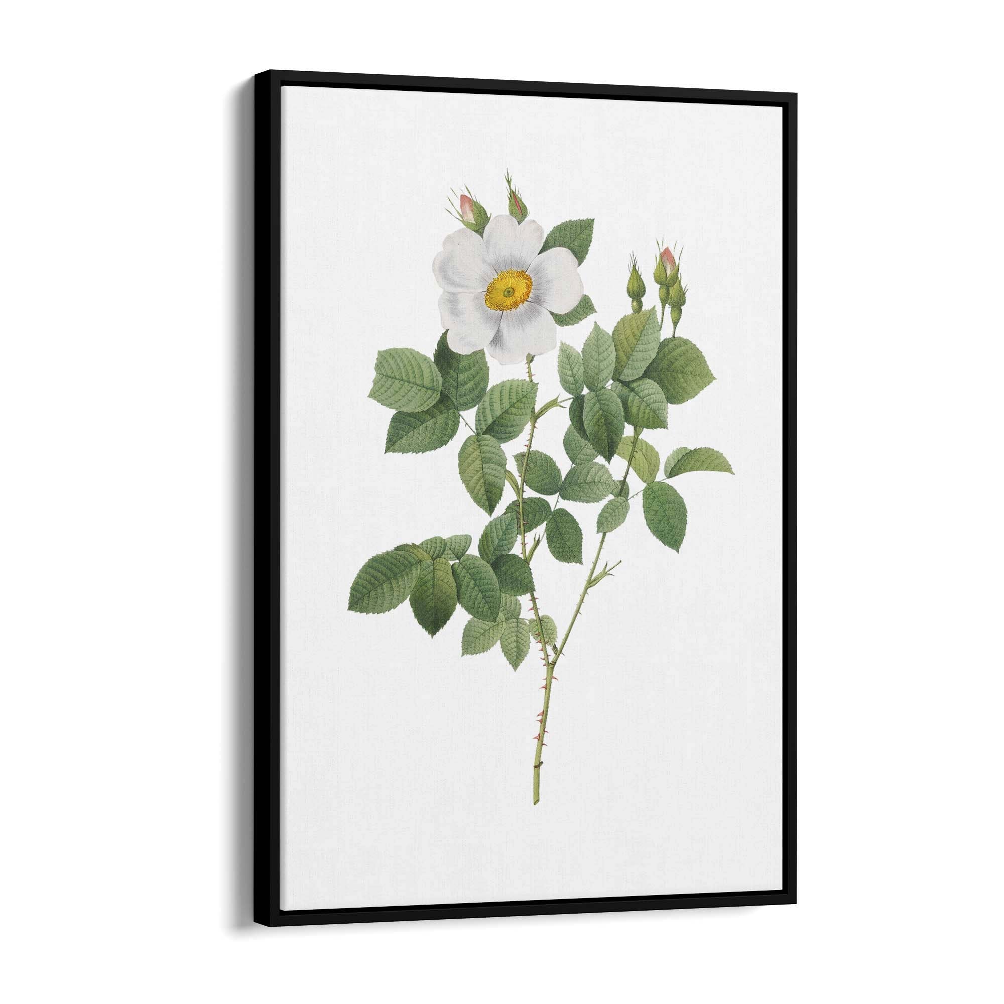 Flower Botanical Painting Kitchen Hallway Wall Art #4 - The Affordable Art Company