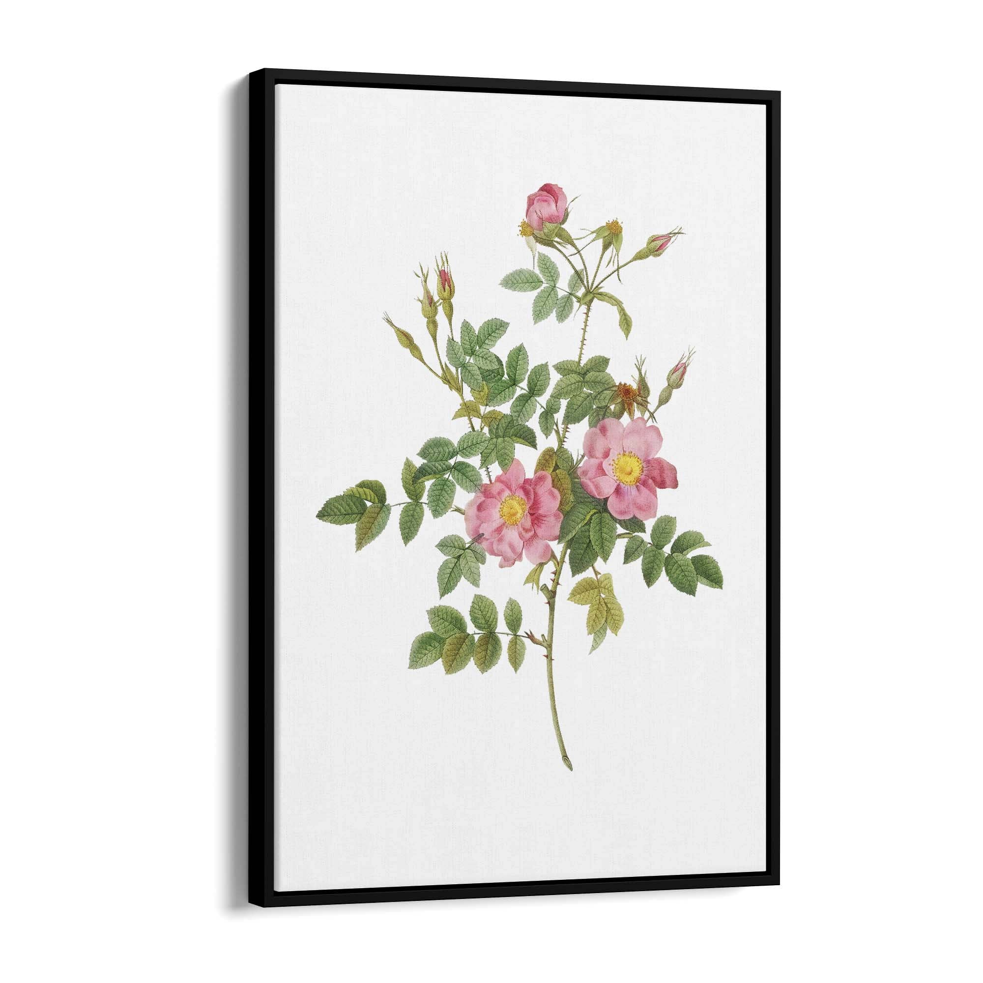 Flower Botanical Painting Kitchen Hallway Wall Art #47 - The Affordable Art Company