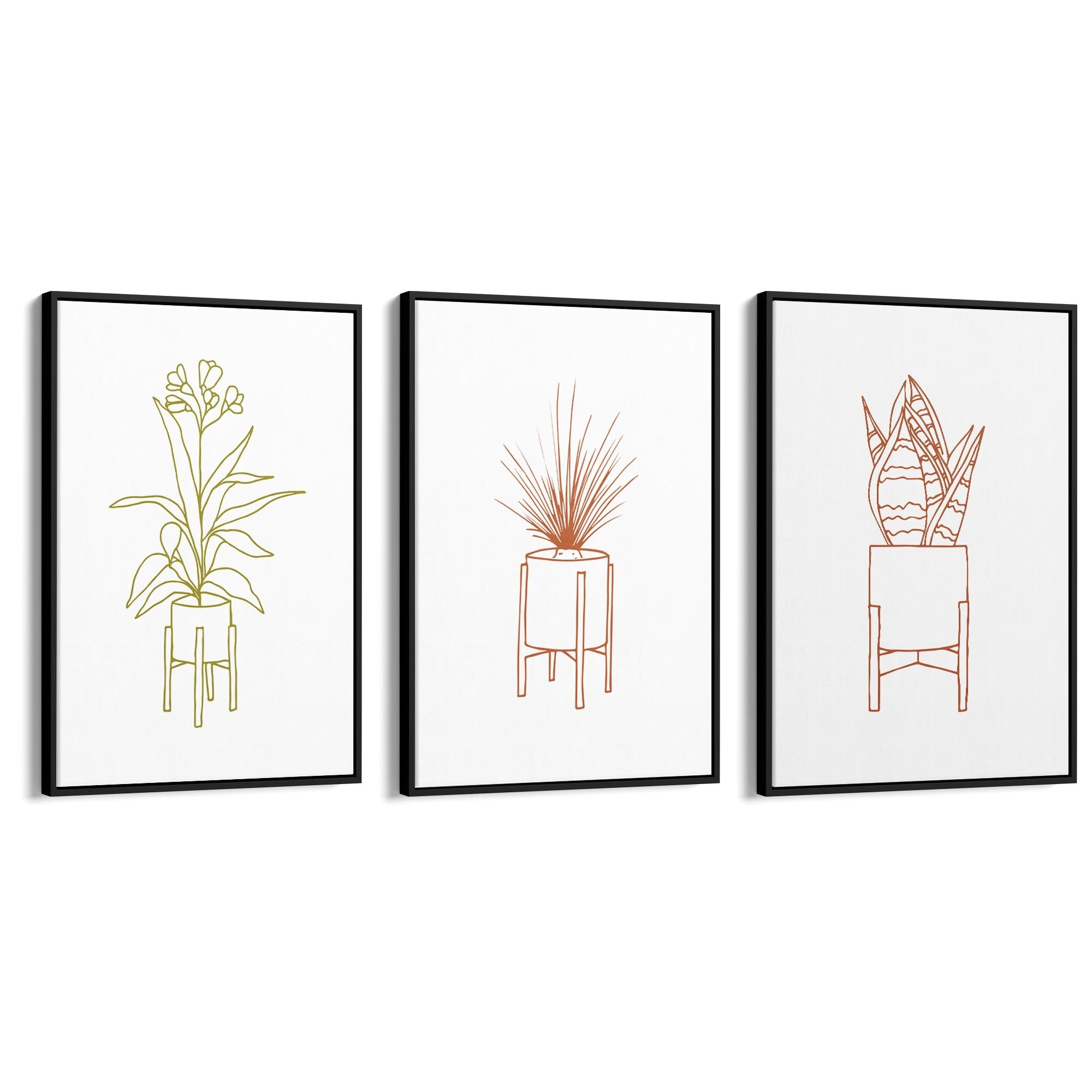 Set of Minimal House Plant Drawing Wall Art #1 - The Affordable Art Company