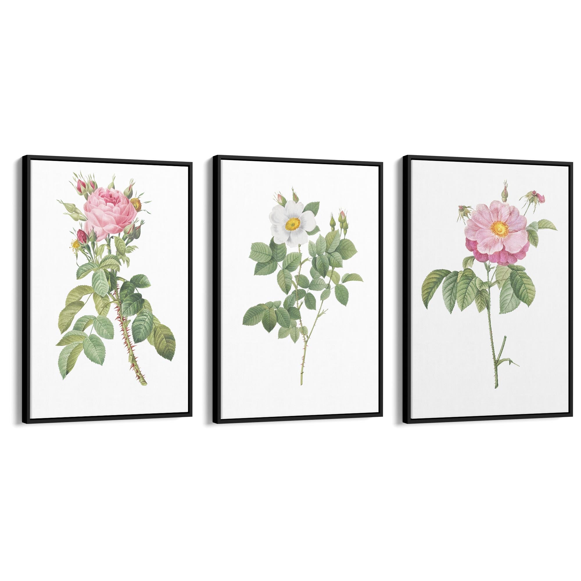 Set of Pink Floral Vintage Botanical Wall Art #2 - The Affordable Art Company
