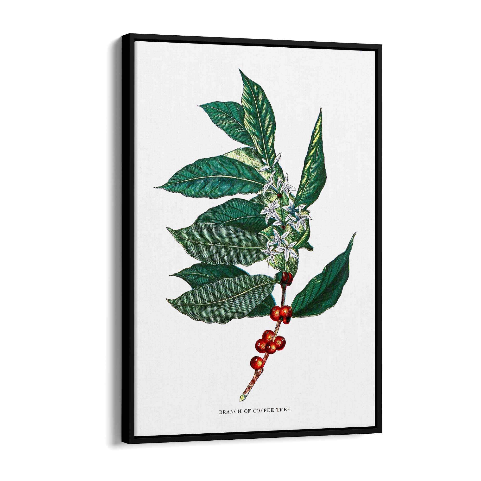 Coffee Branch Botanical Kitchen Cafe Wall Art #2 - The Affordable Art Company