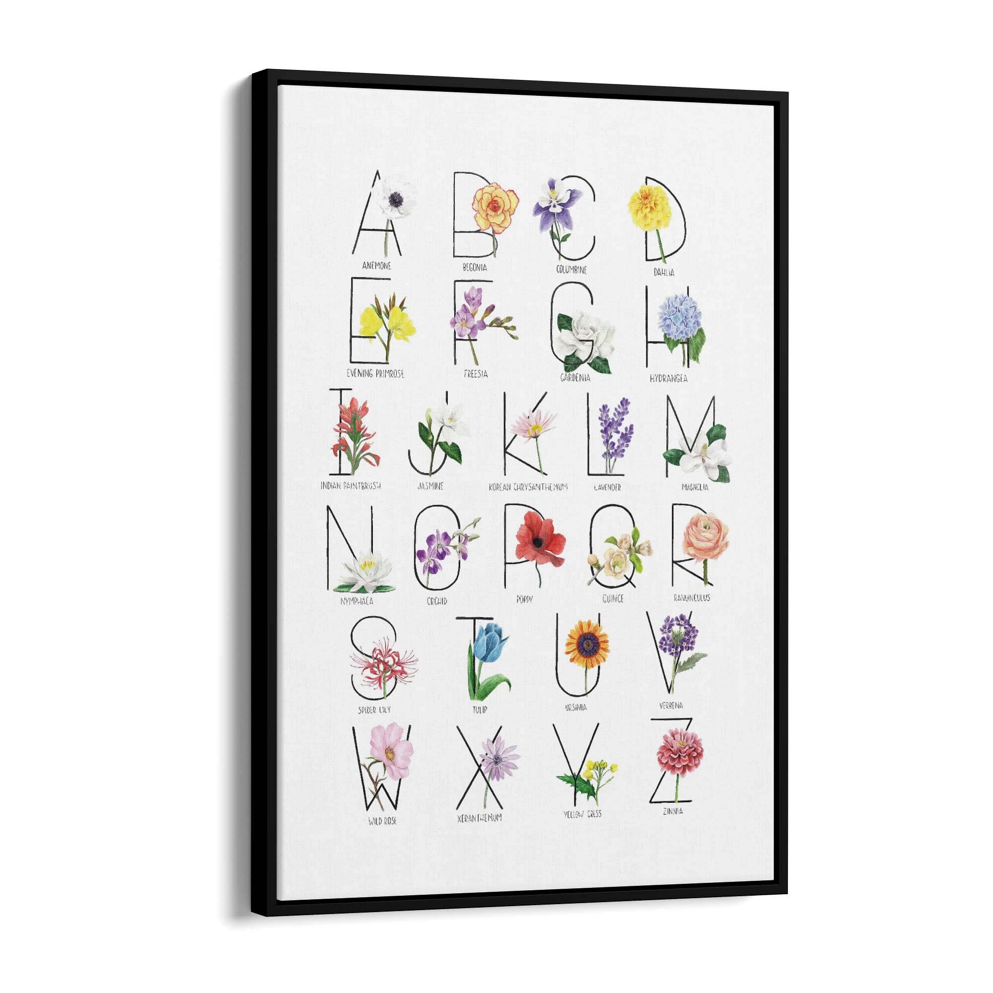 Flower Alphabet Kitchen Drawing Wall Art - The Affordable Art Company