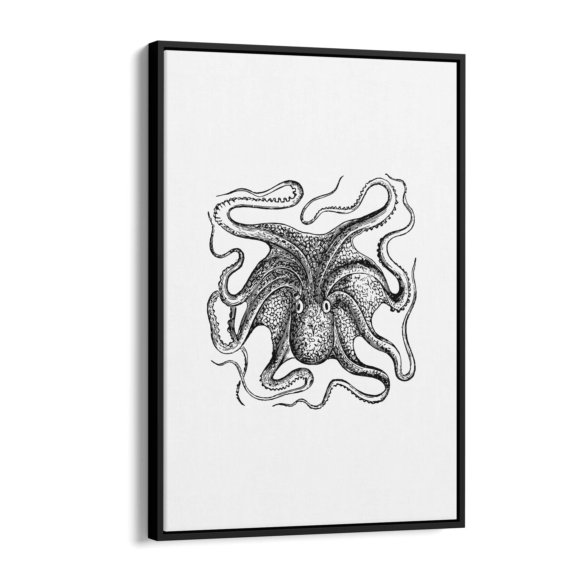 Octopus Drawing Minimal Sealife Wall Art #1 - The Affordable Art Company