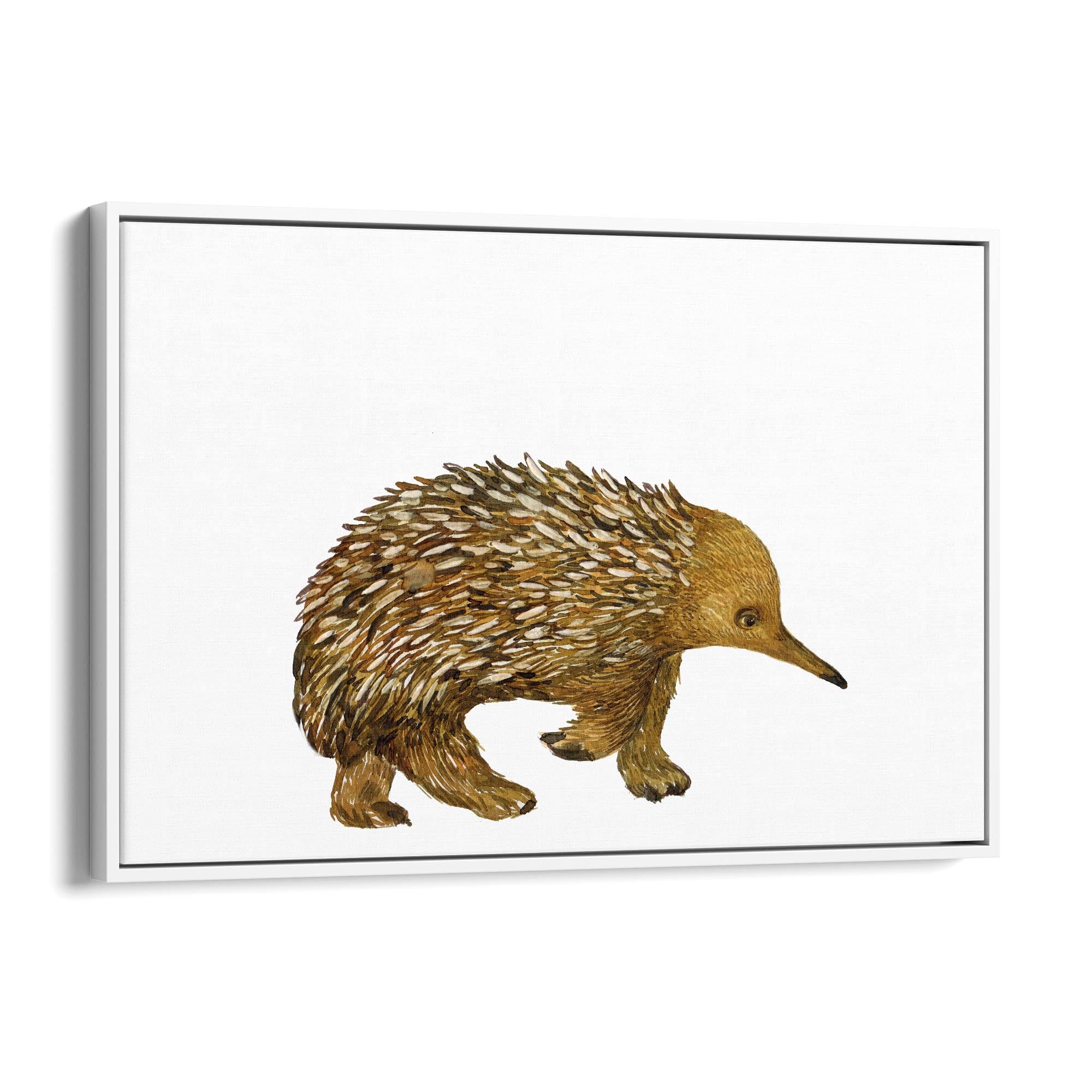 Australian Echidna Painting Animal Nursery Wall Art - The Affordable Art Company