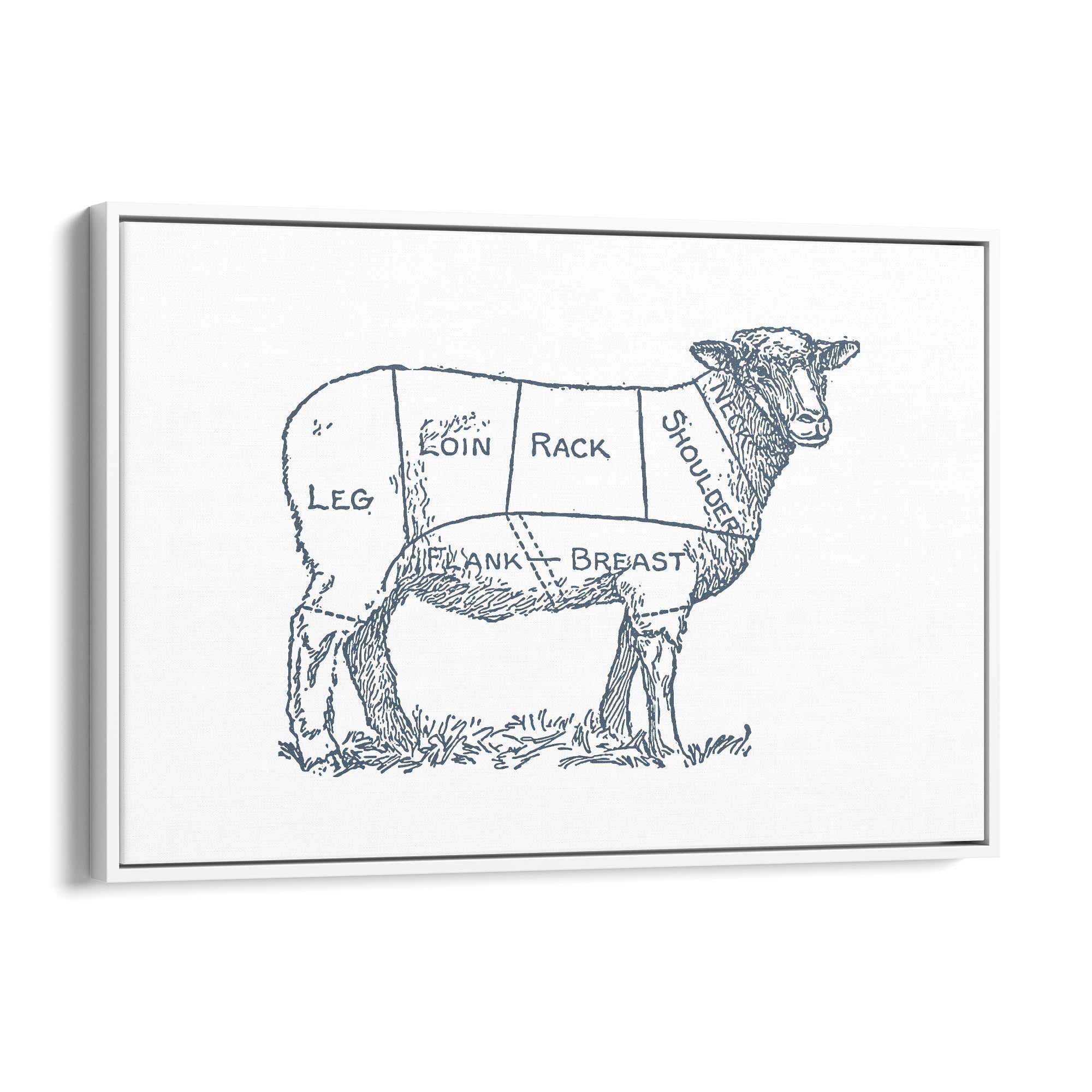 Butcher Shop Lamb Drawing Meat Wall Art - The Affordable Art Company