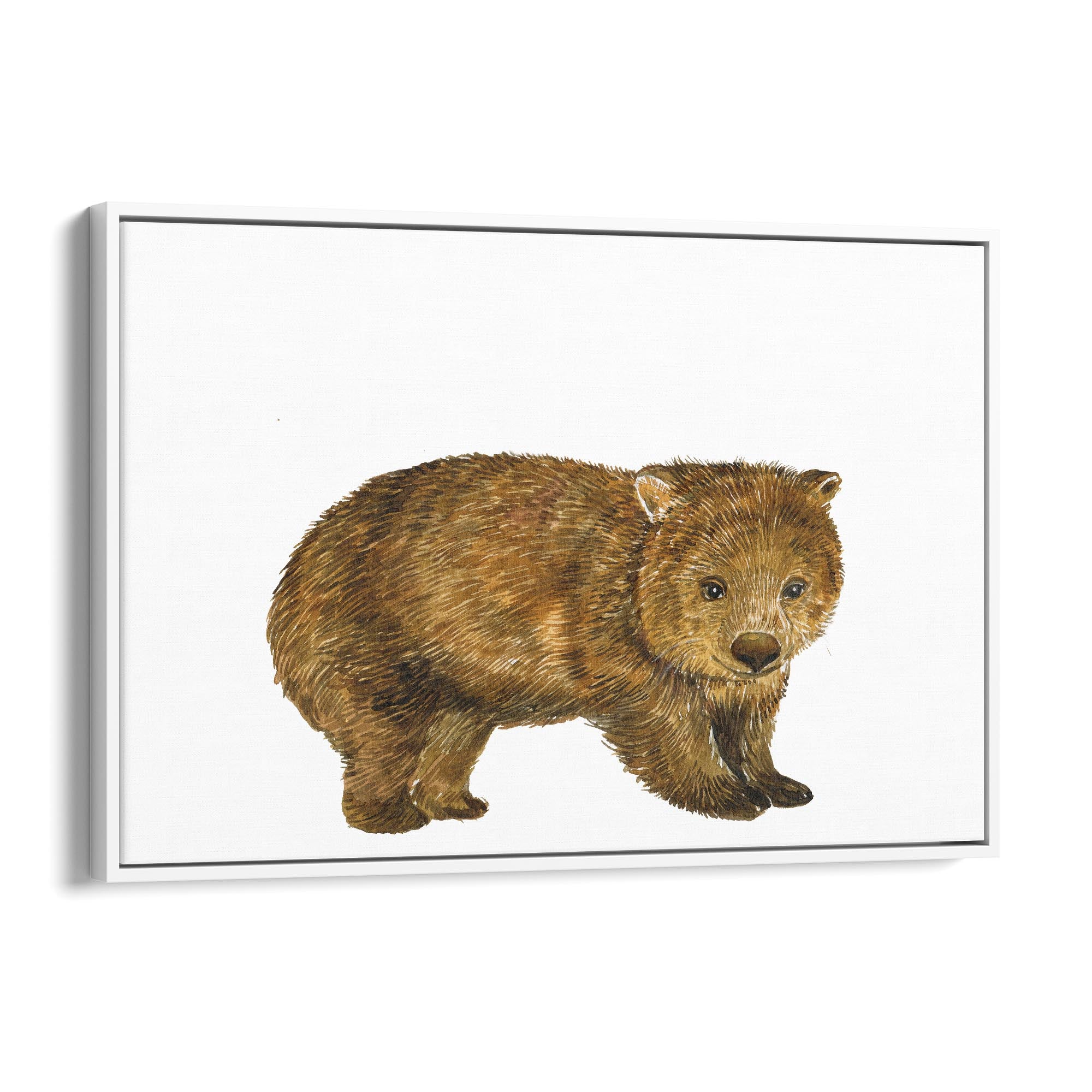 Australian Wombat Painting Animal Wall Art - The Affordable Art Company