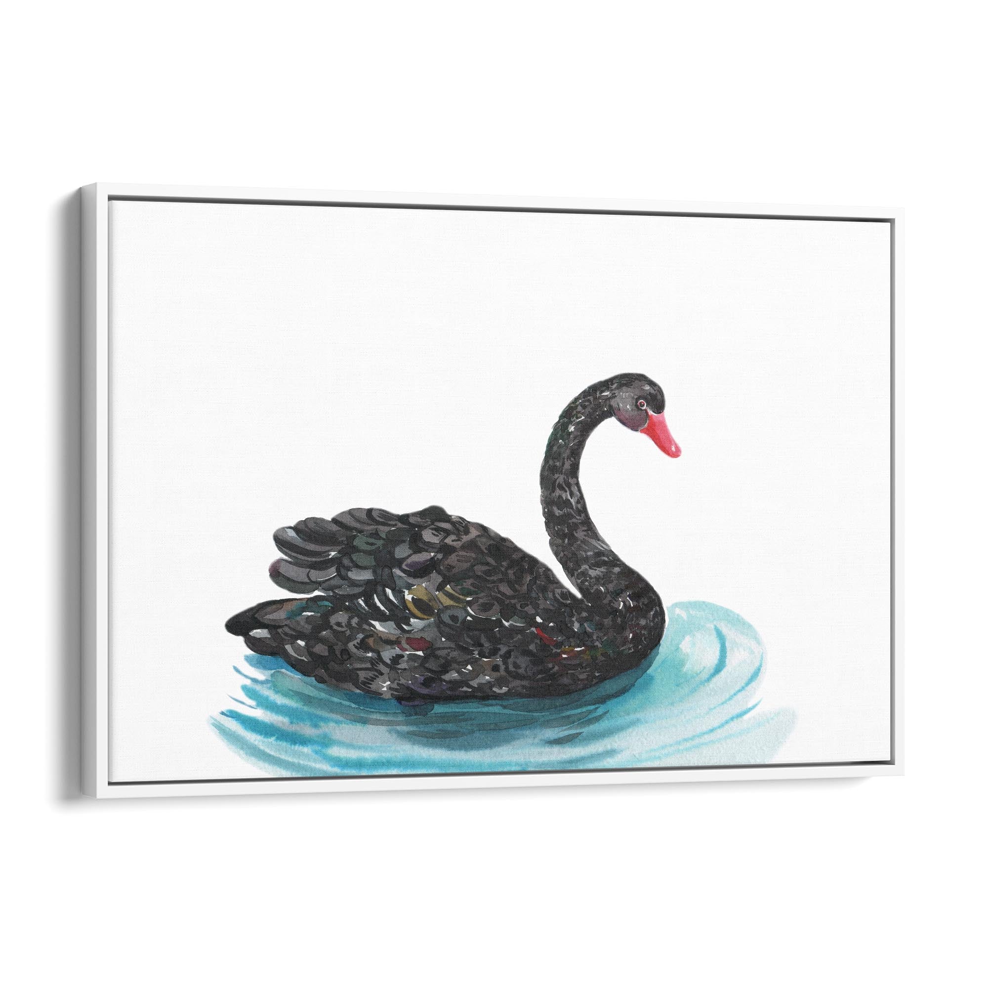 Black Swan Australian Animal Nursery Wall Art - The Affordable Art Company