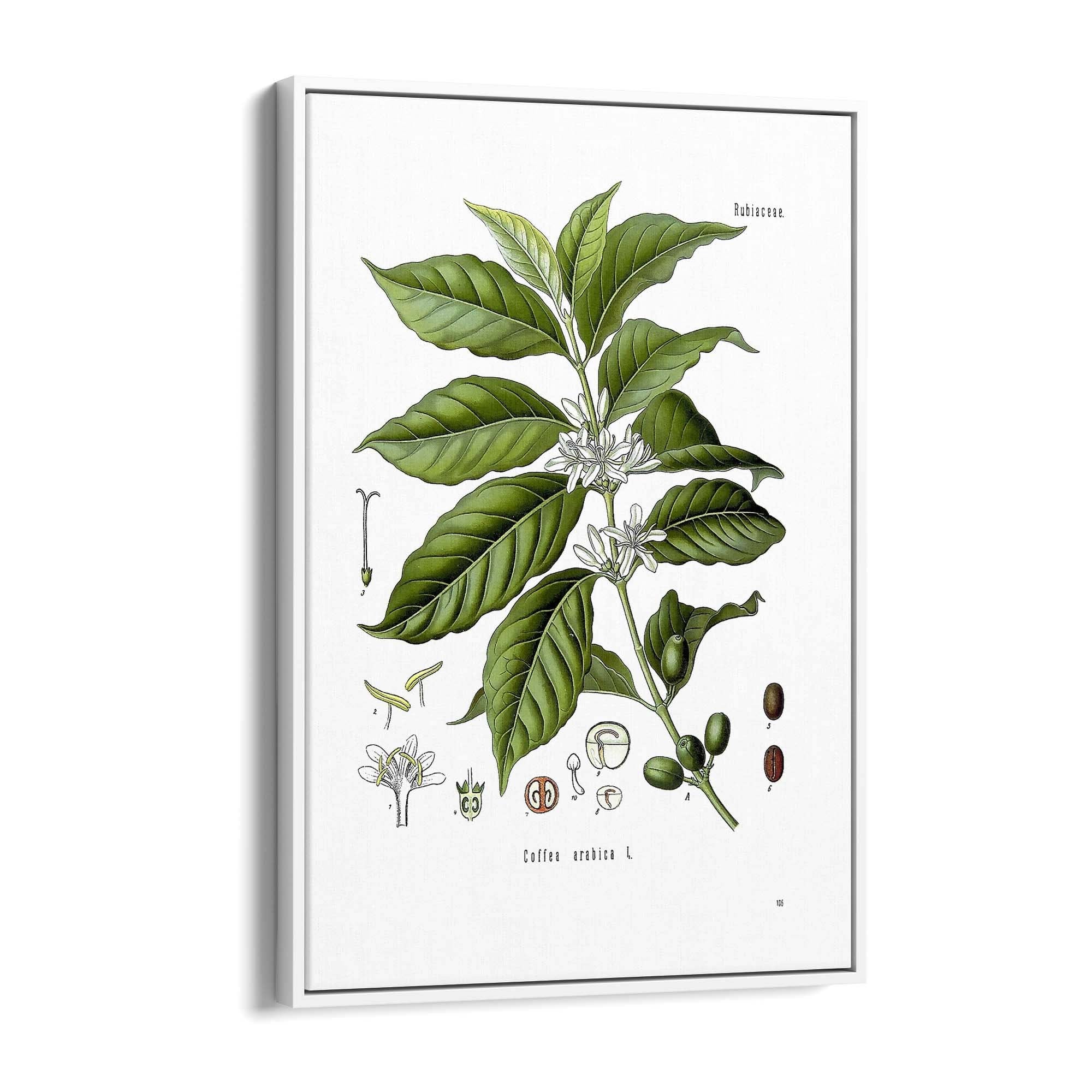 Coffee Branch Botanical Kitchen Cafe Wall Art #1 - The Affordable Art Company