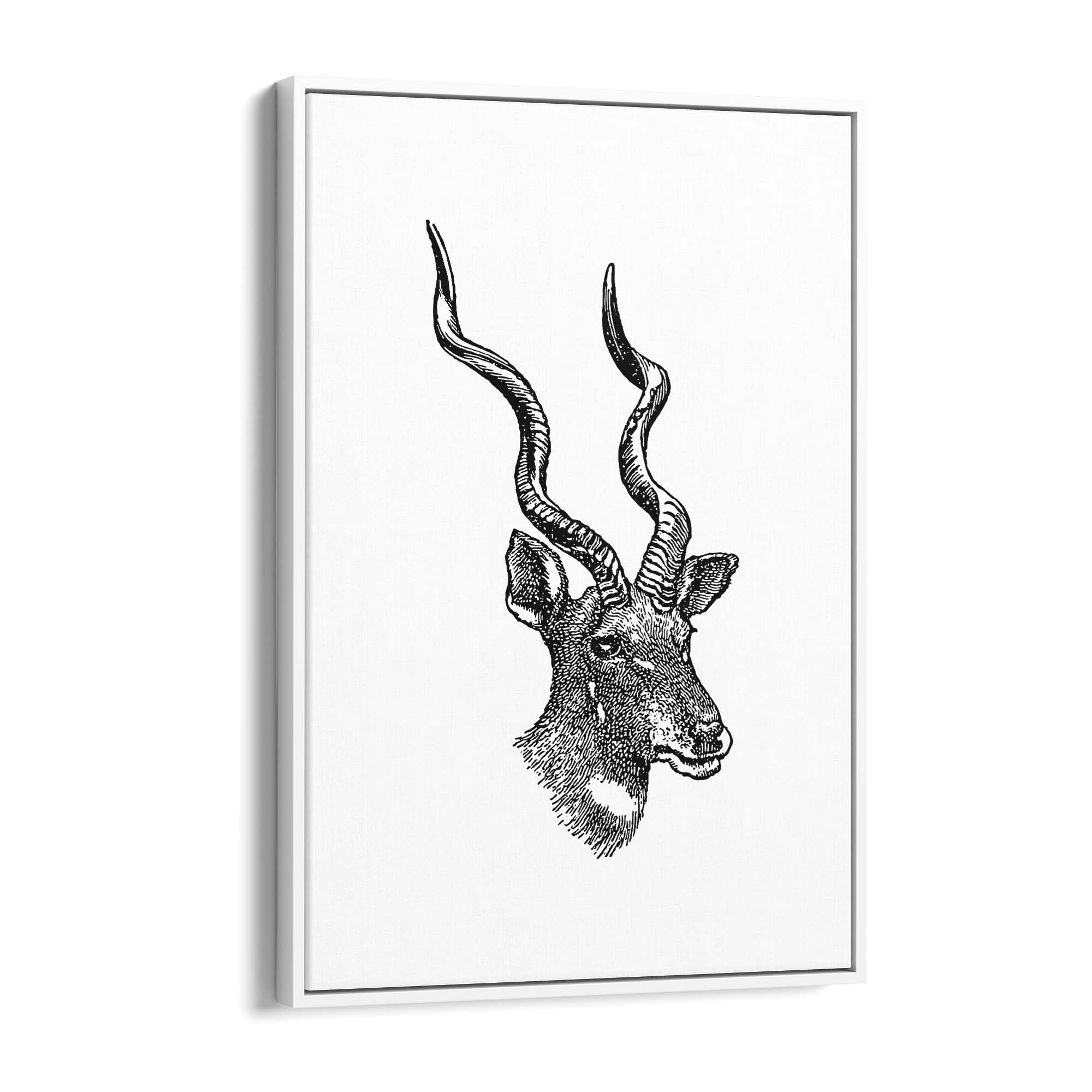 Kudu Detailed Drawing African Safari Wall Art - The Affordable Art Company