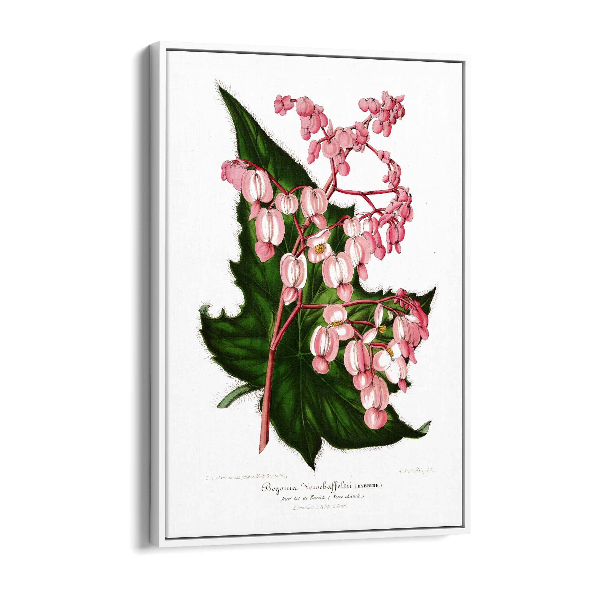 Vintage Pink Flowers Botanical Kitchen Wall Art #1 - The Affordable Art Company