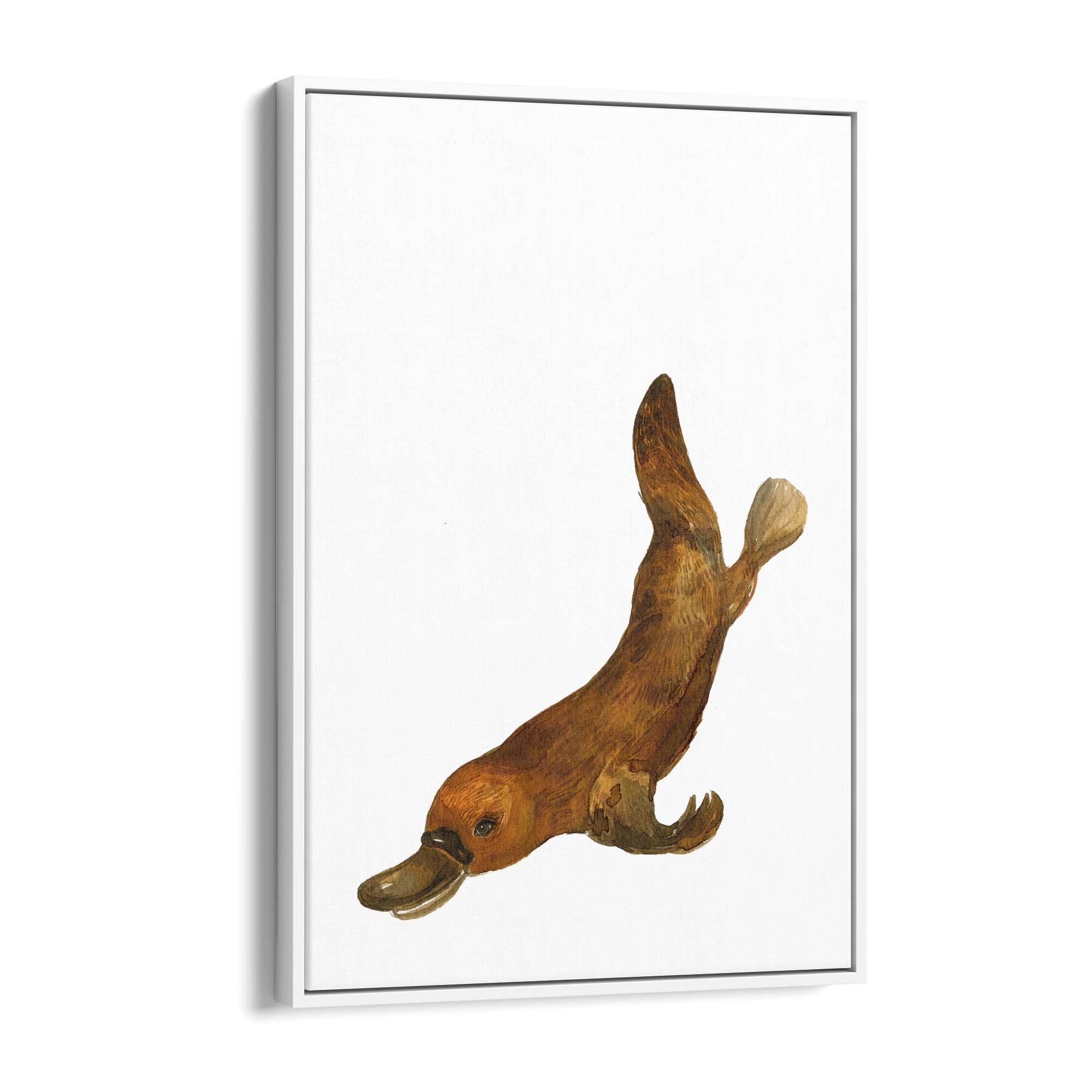 Australian Platypus Painting Animal Nursery Wall Art - The Affordable Art Company