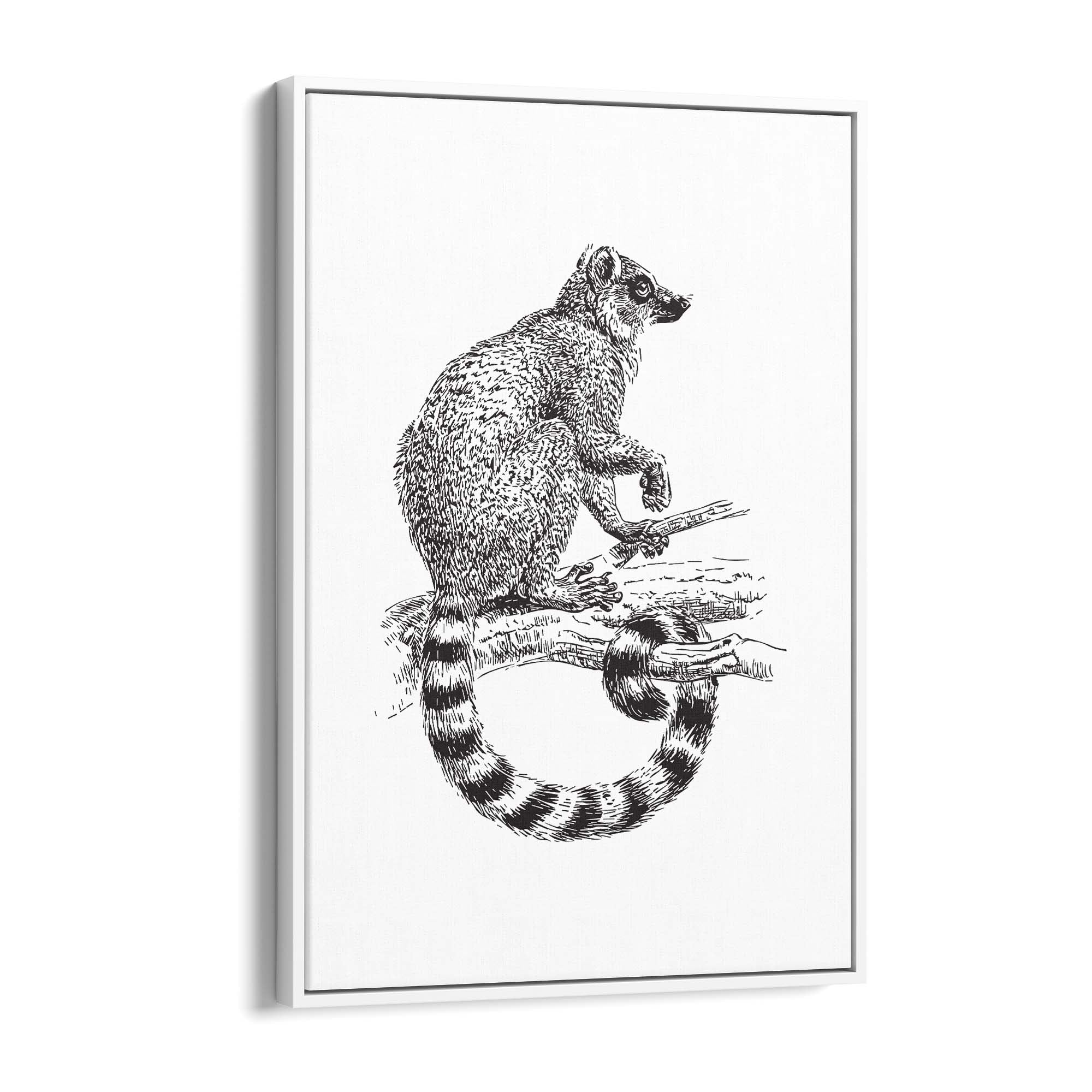 Possum Drawing Animal Wall Art - The Affordable Art Company