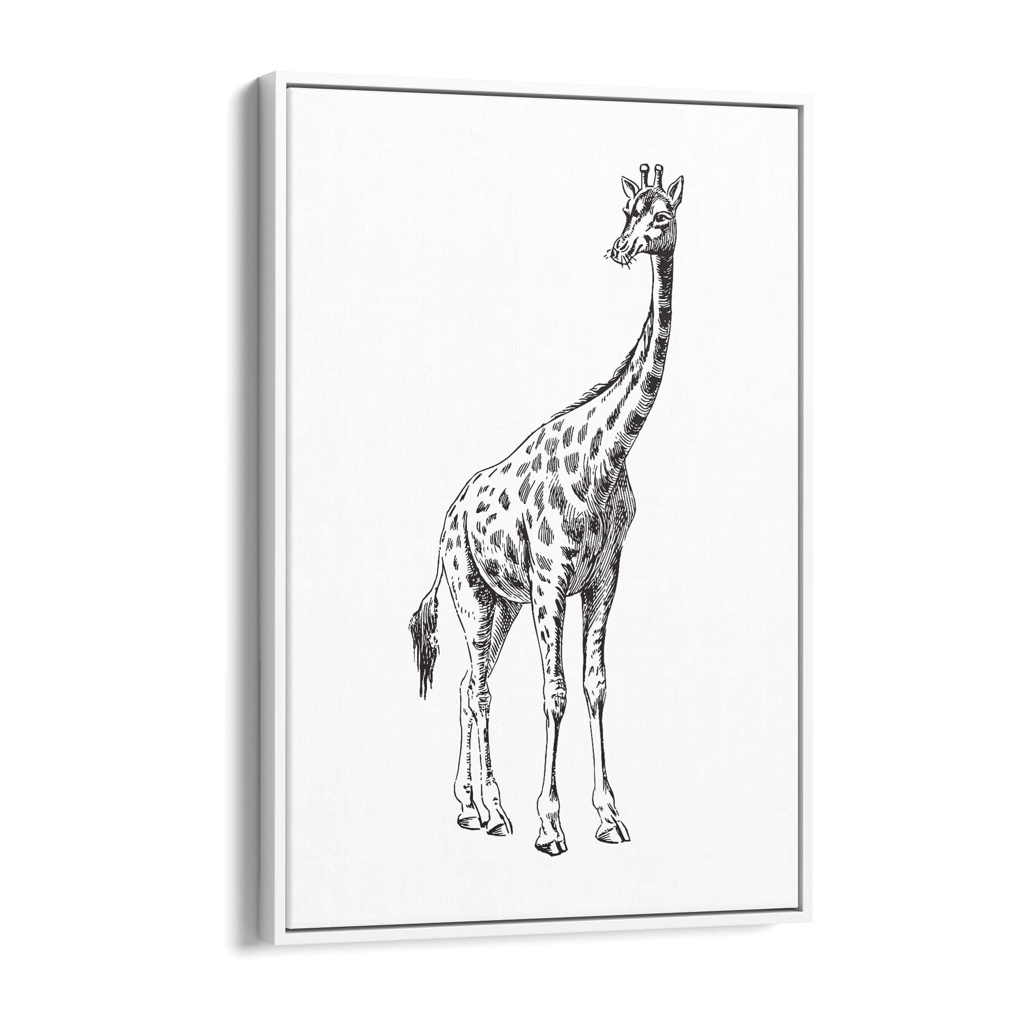 Detailed Giraffe Drawing Safari Animal Wall Art #2 - The Affordable Art Company