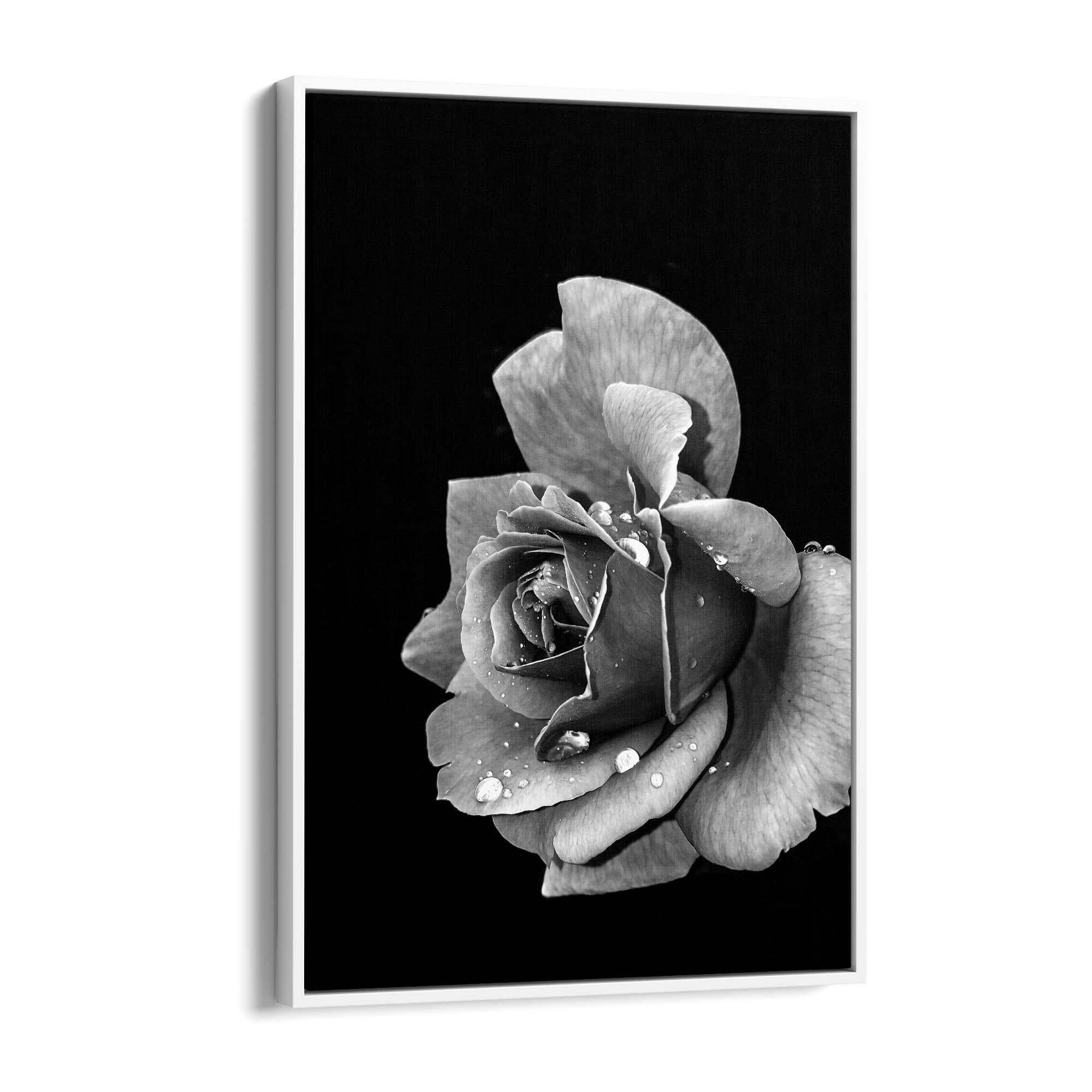 Black and White Rose Flower Photograph Wall Art - The Affordable Art Company