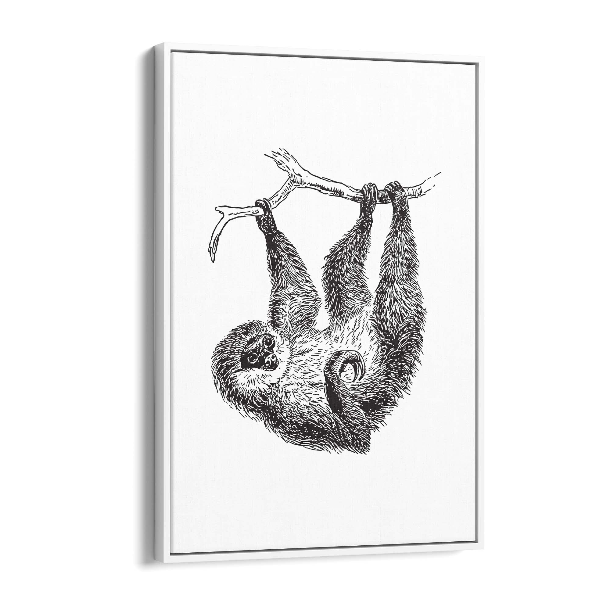 Sloth Drawing Animal Minimal Wall Art - The Affordable Art Company