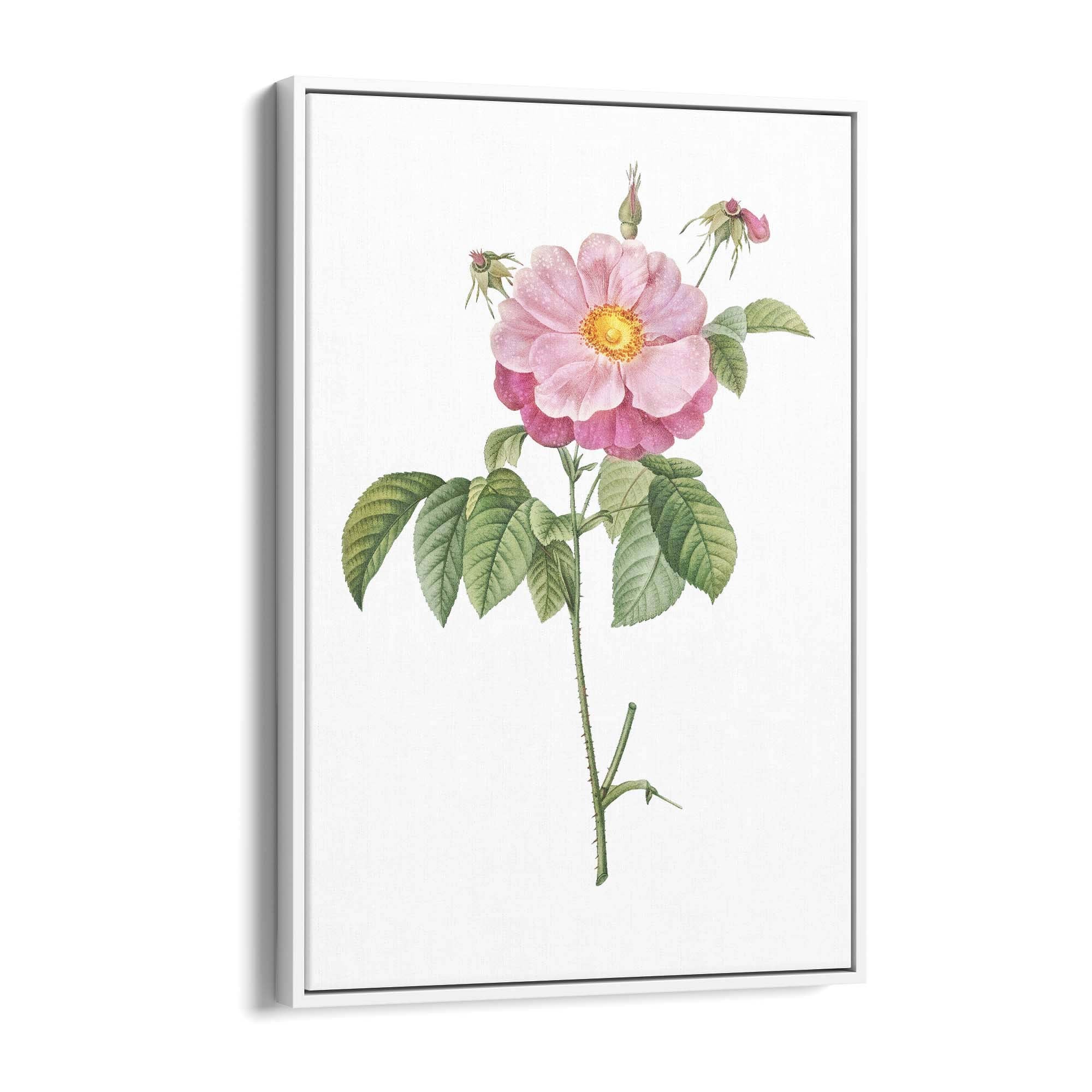 Flower Botanical Painting Kitchen Hallway Wall Art #6 - The Affordable Art Company