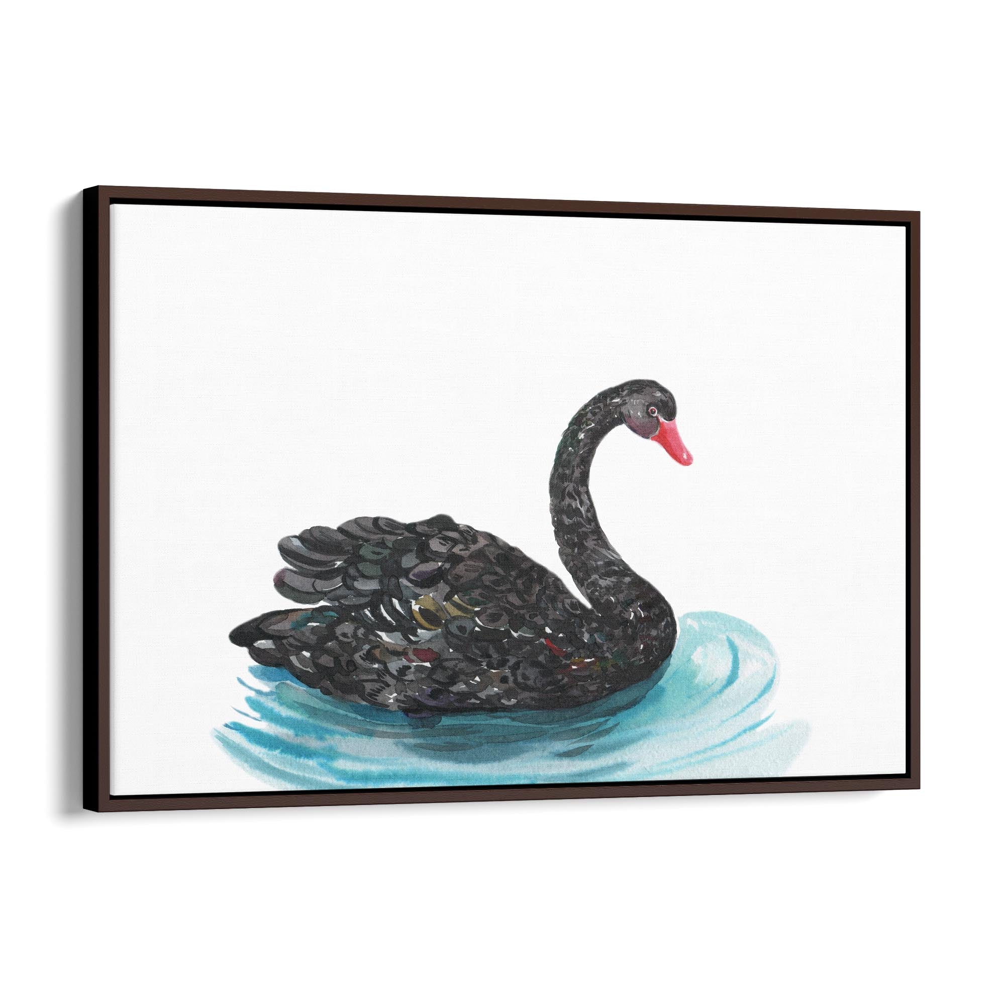 Black Swan Australian Animal Nursery Wall Art - The Affordable Art Company