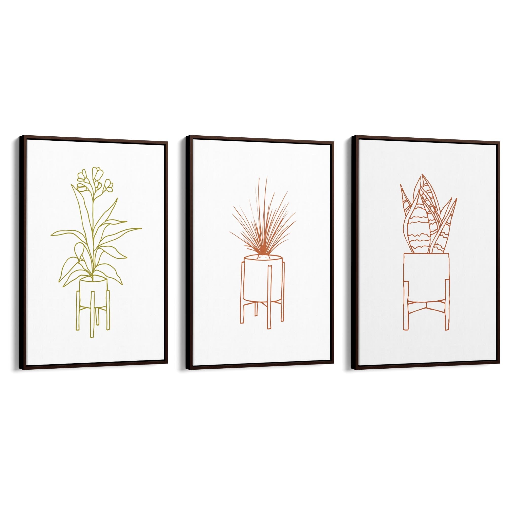 Set of Minimal House Plant Drawing Wall Art #1 - The Affordable Art Company