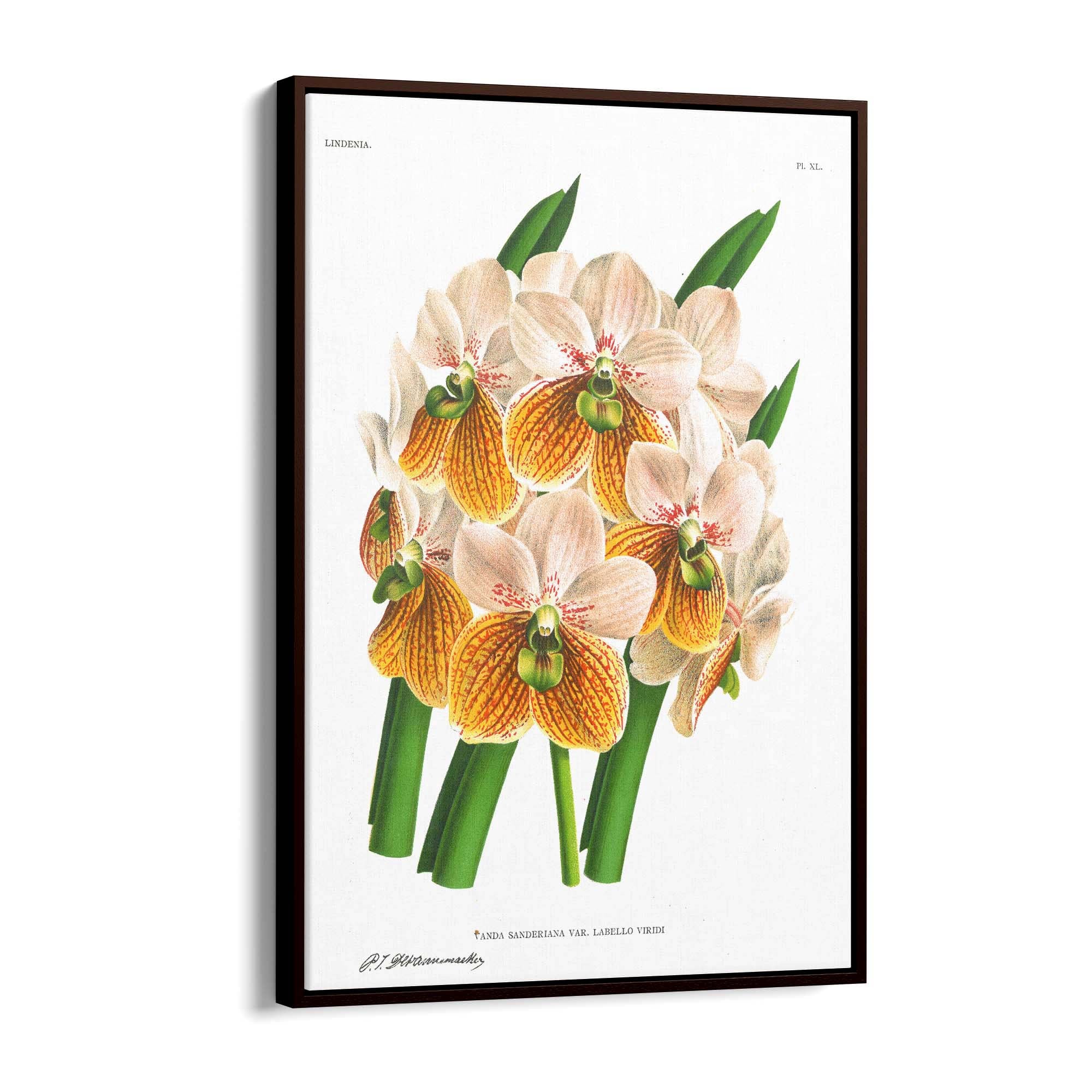 Yellow Flower Vintage Botanical Kitchen Wall Art #2 - The Affordable Art Company