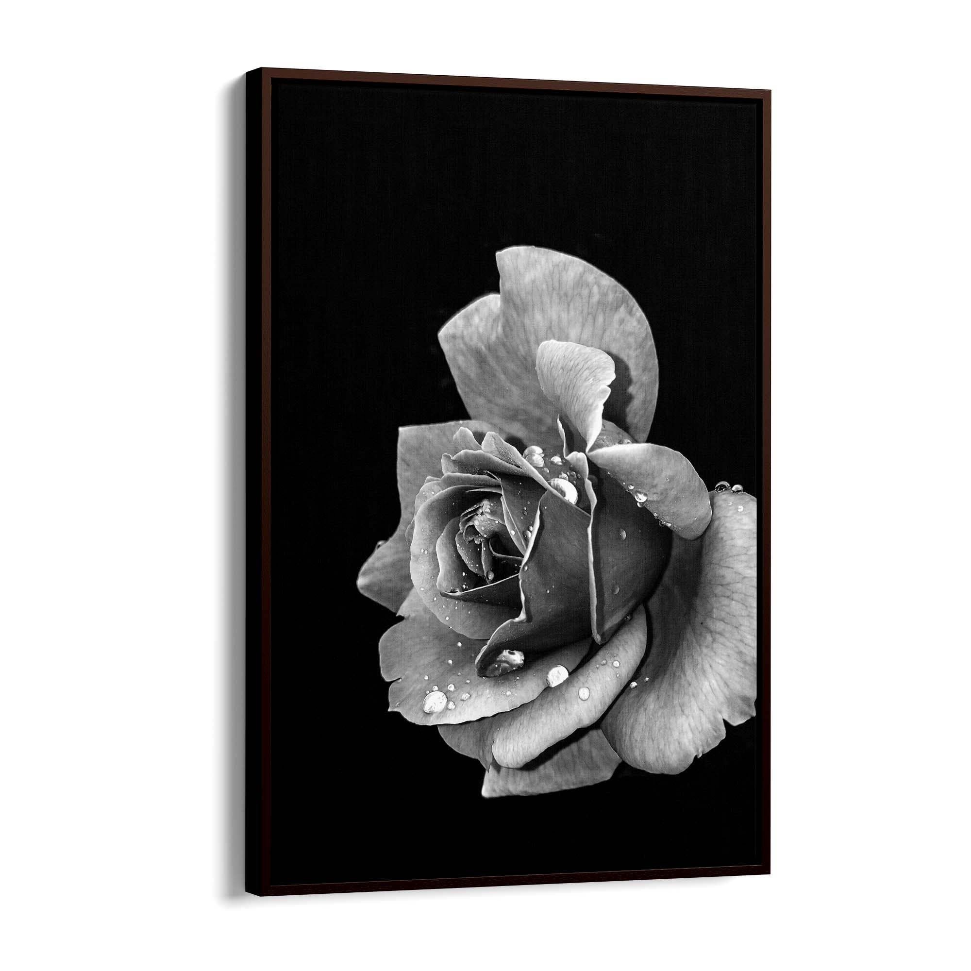 Black and White Rose Flower Photograph Wall Art - The Affordable Art Company