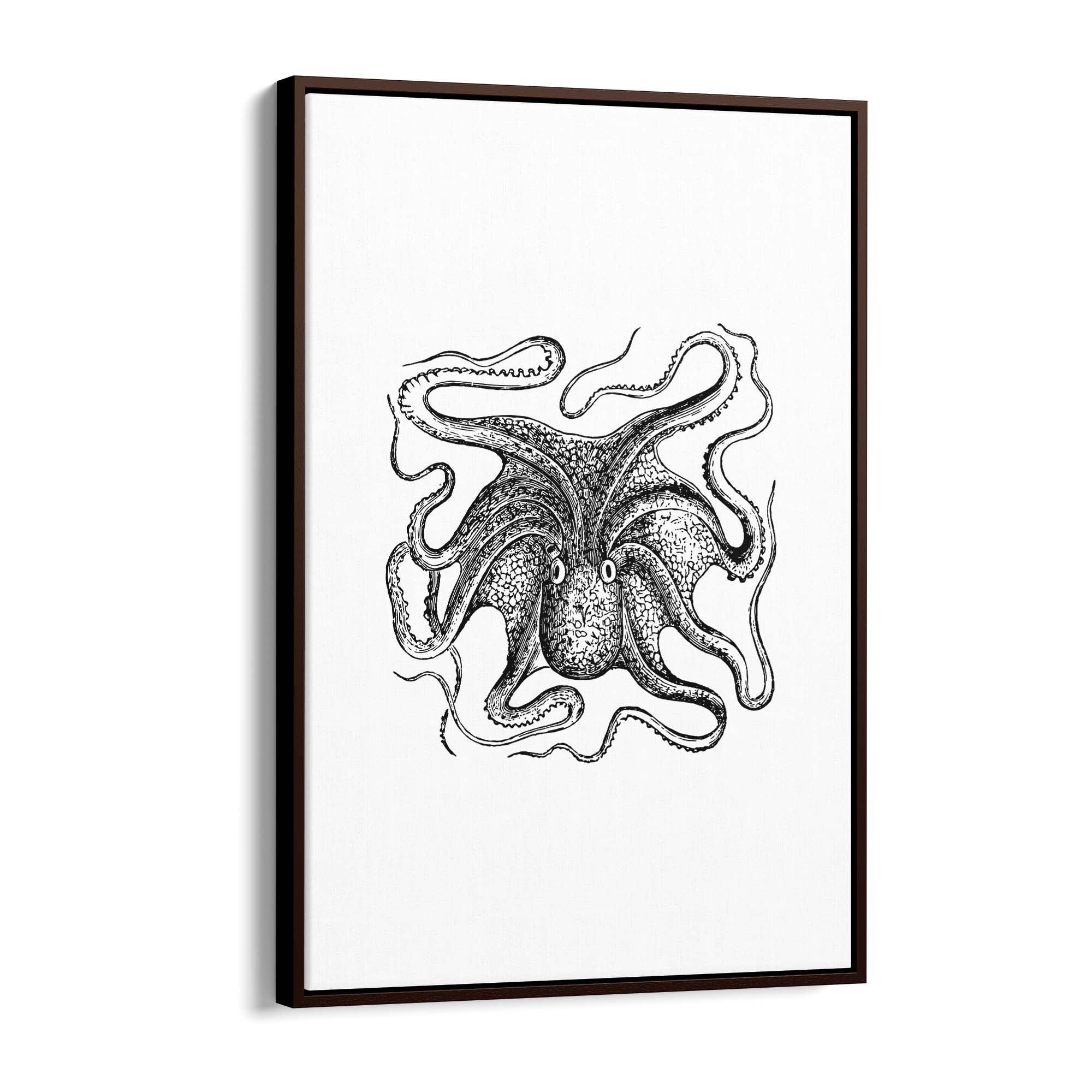 Octopus Drawing Minimal Sealife Wall Art #1 - The Affordable Art Company